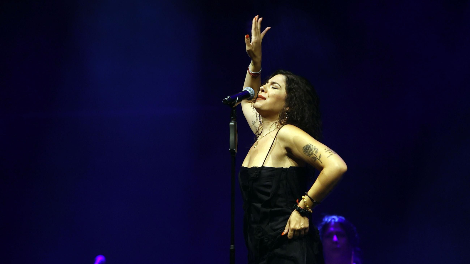 Imágenes de la 58 edición de la Fiesta de la Bulería en Jerez