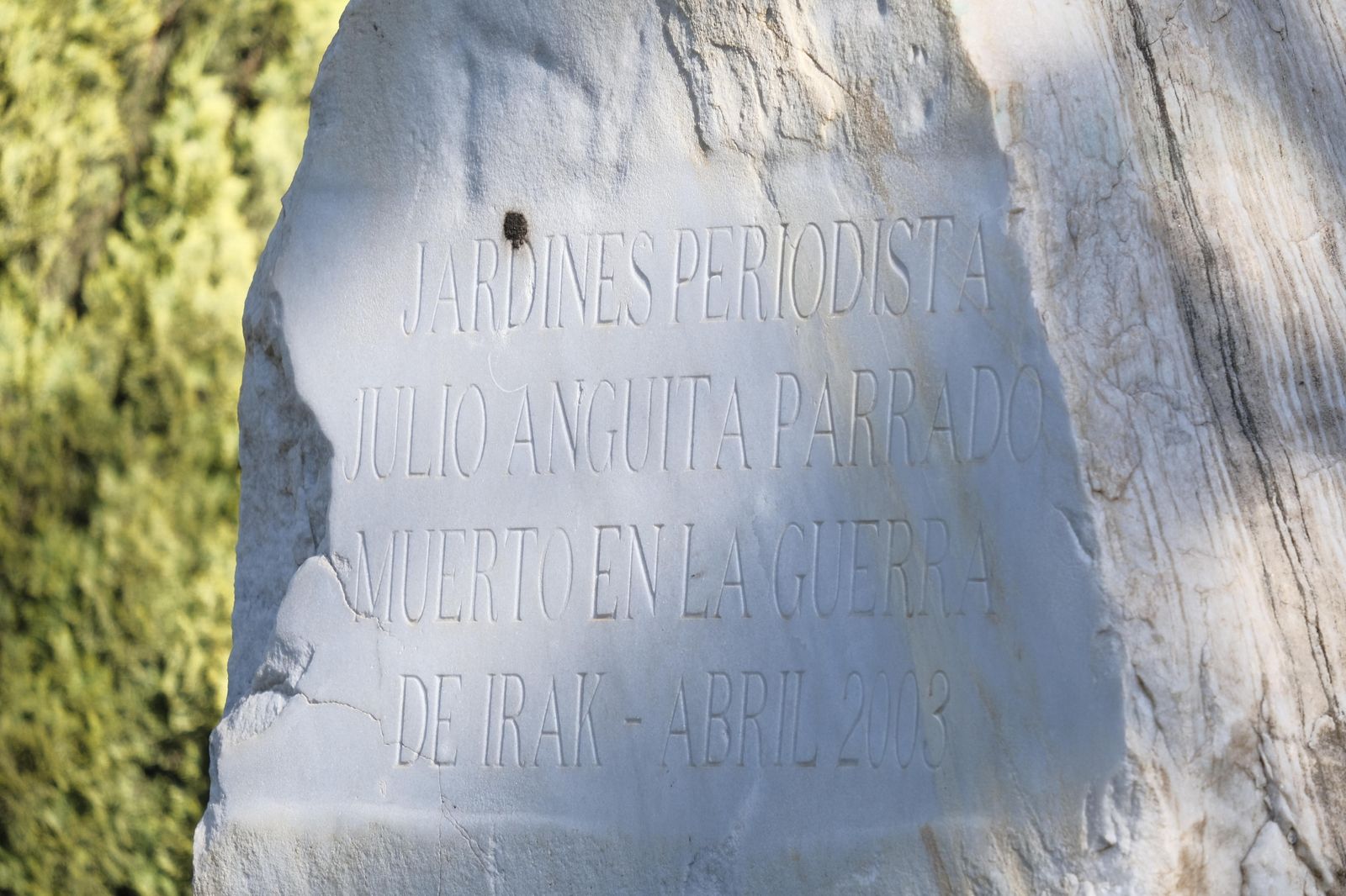 El homenaje al periodista Julio Anguita Parrado, en imágenes