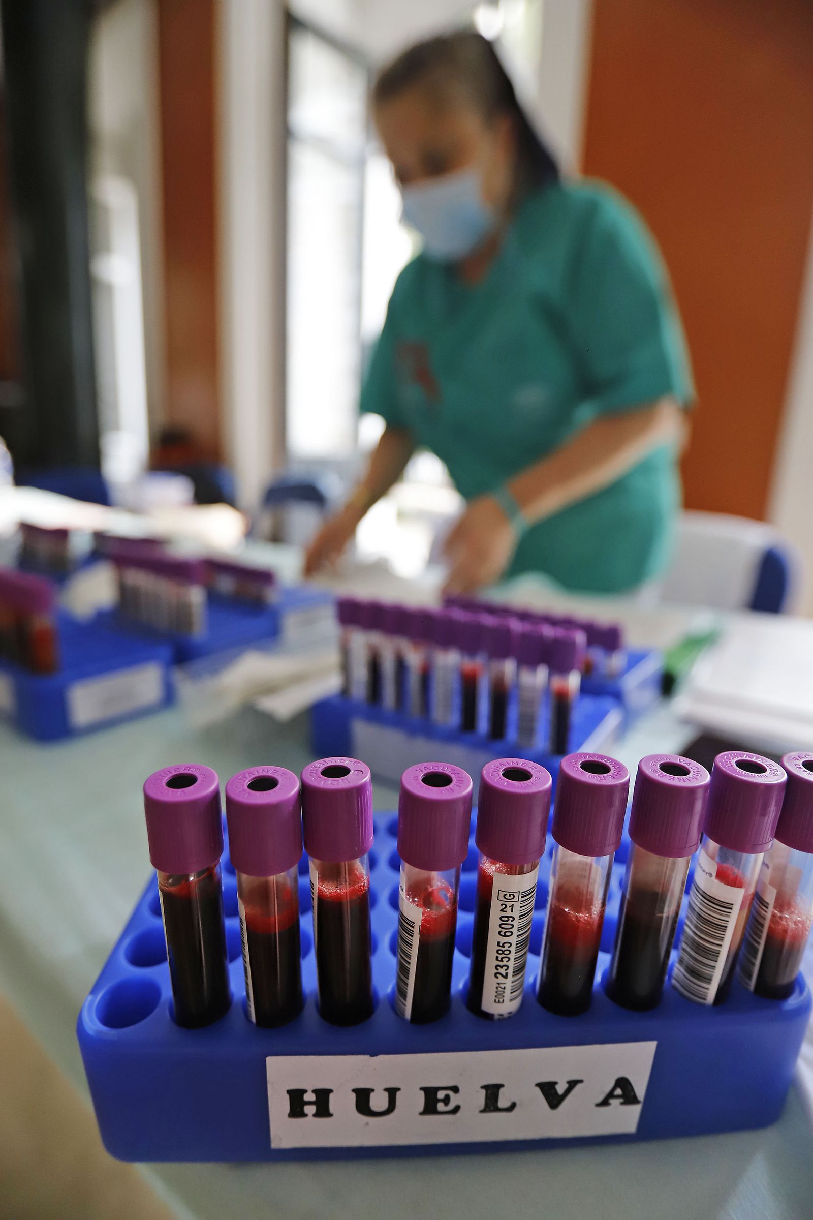 Imágenes de la Macrocolecta de sangre en la Casa Colón