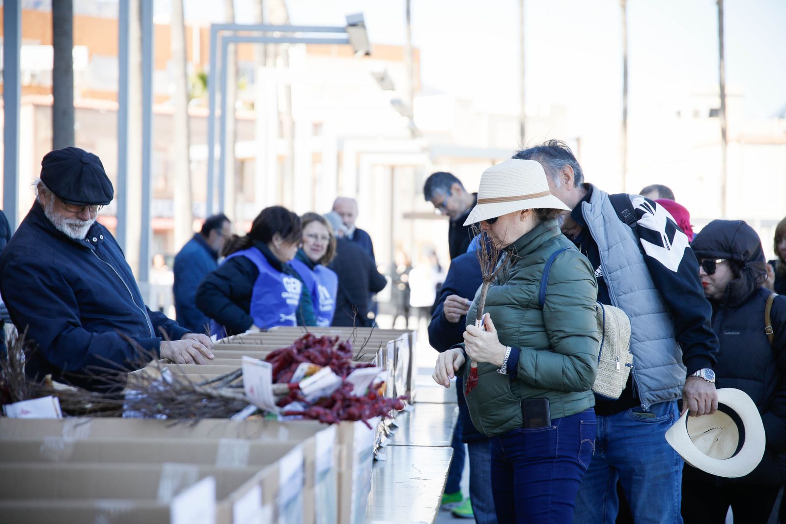 Imágenes del reparto de Parras en Alhama de Almería