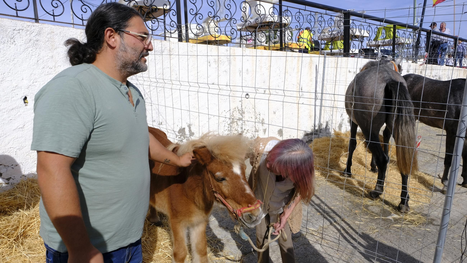 Las fotos de la Feria del Ganado y del Pájaro Perdiz en Albox
