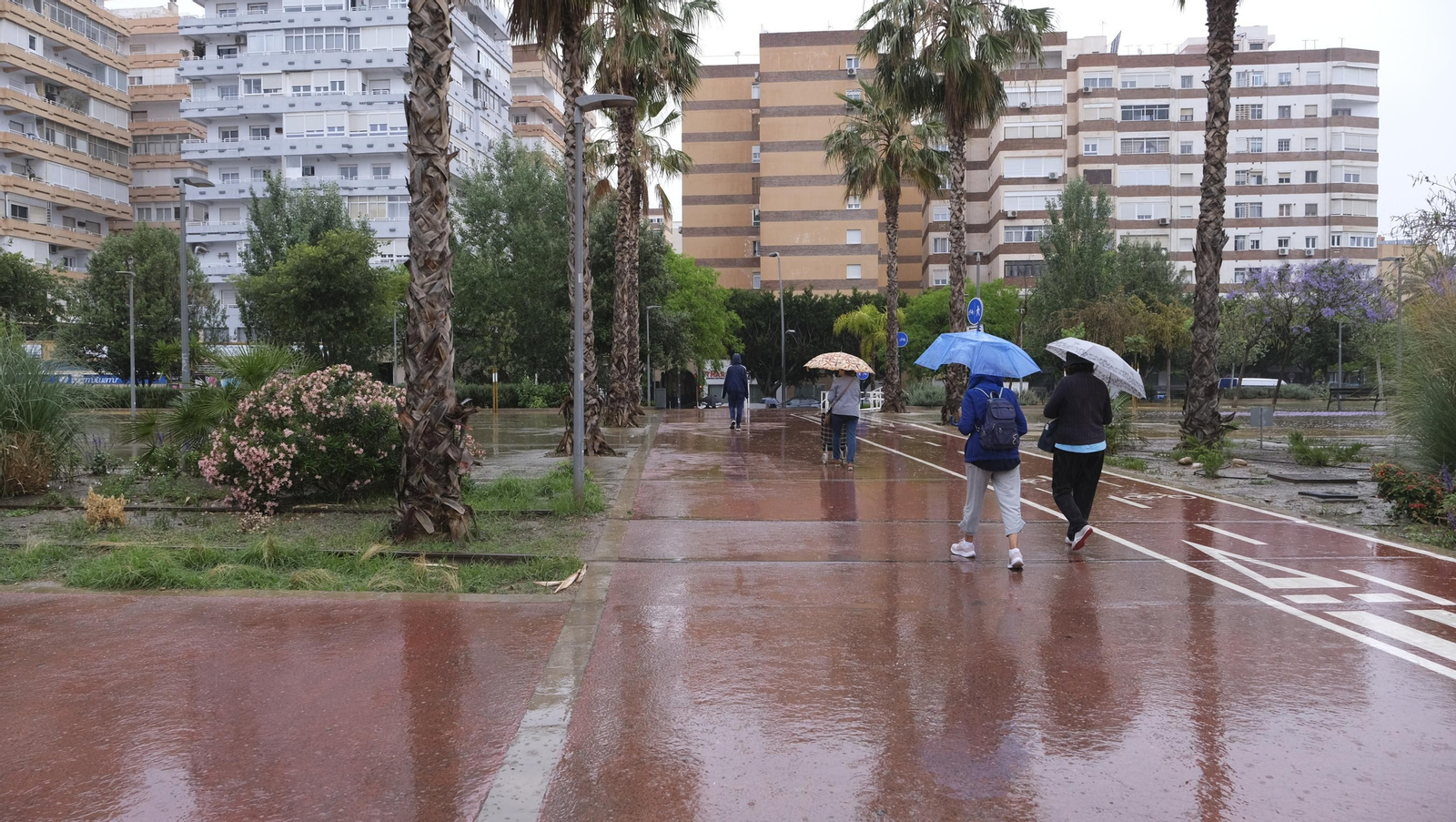 Los almerienses expresan su alegría por la lluvia