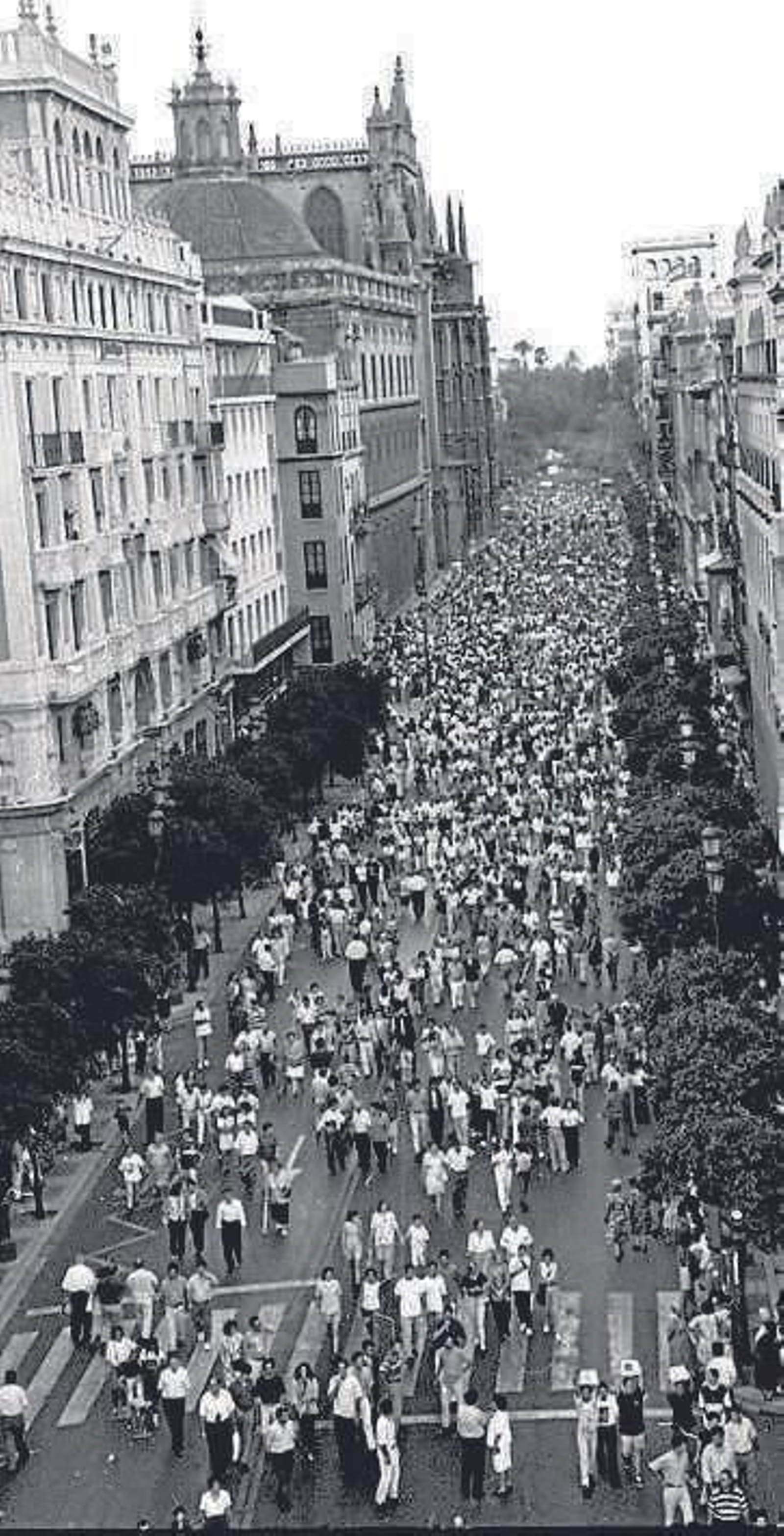 Manifestación en Sevilla. Julio de 1997.