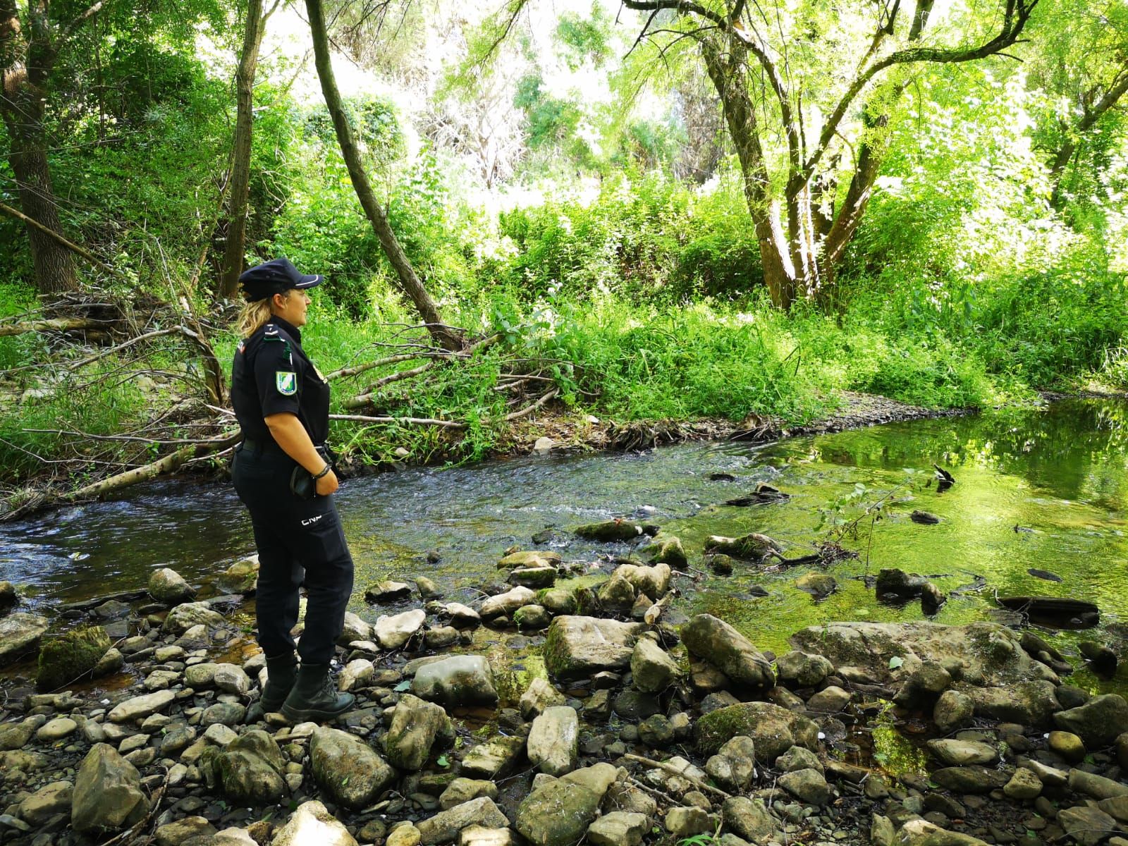 Una imagen de archivo de la Policía Autonómica