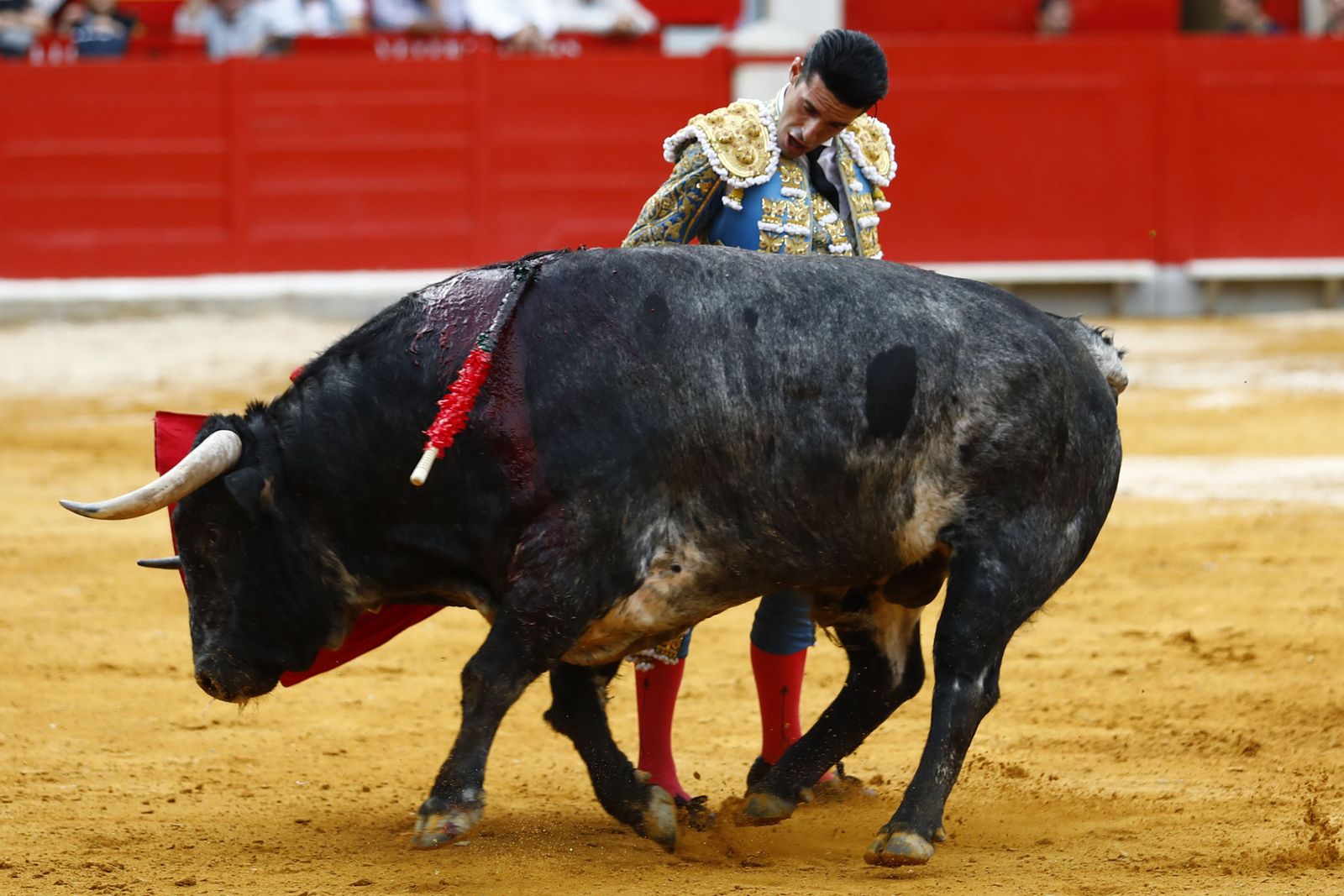 Así ha sido la primera jornada taurina del Corpus en Granada