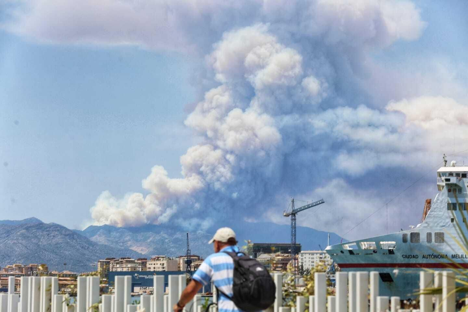 Incendio forestal en Mijas, en el paraje El Higuerón (fotos)
