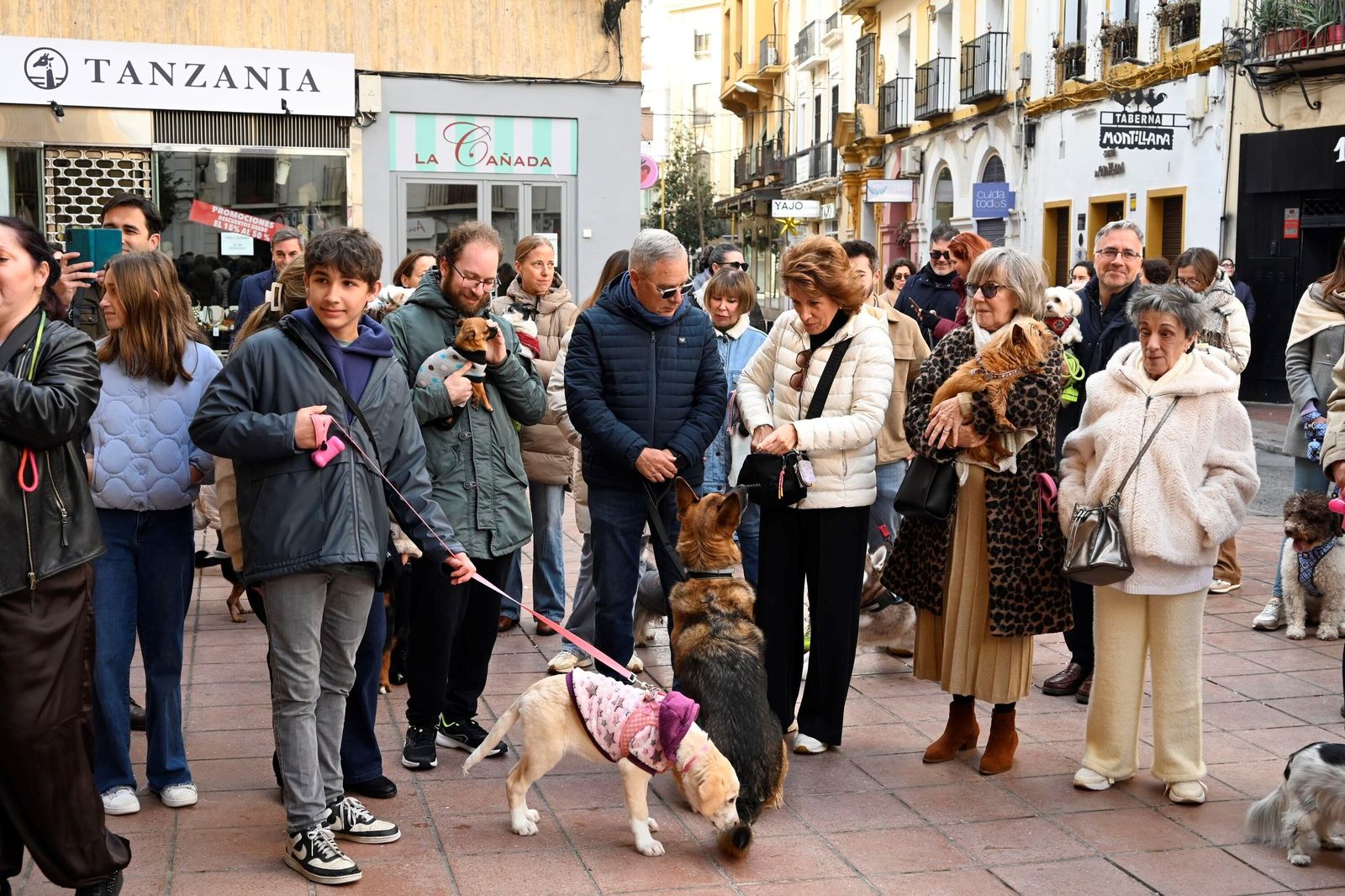 La bendición de animales por San Antón en Córdoba