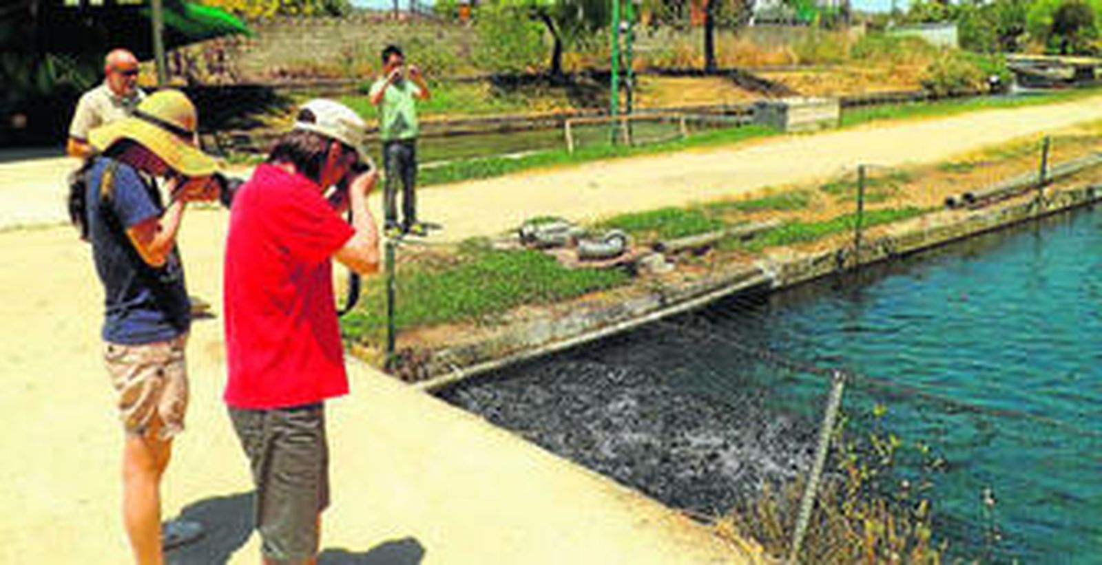 Caviar de Riofrío ofrece al visitante asistir a las ecografías de los esturiones, entre otros atractivos.