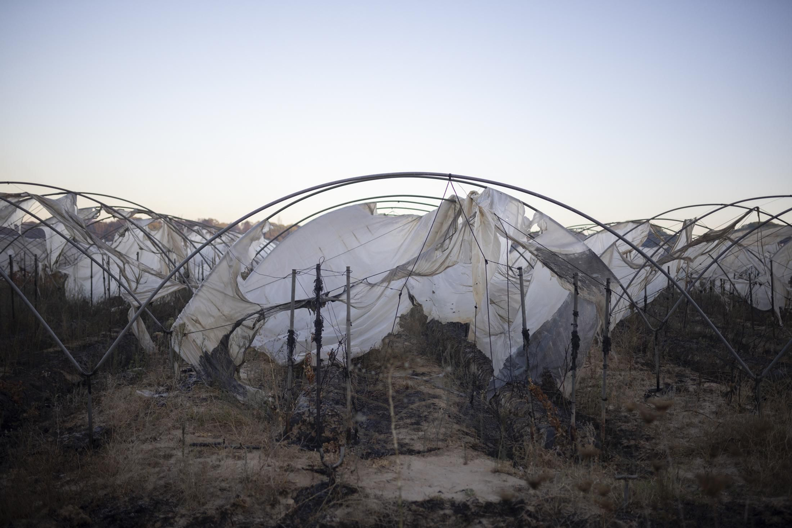 Imágenes del incendio de Bonares