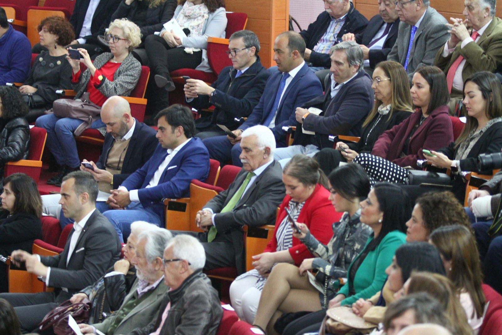 Imágenes de la celebración del Acto Institucional del Día de Andalucía