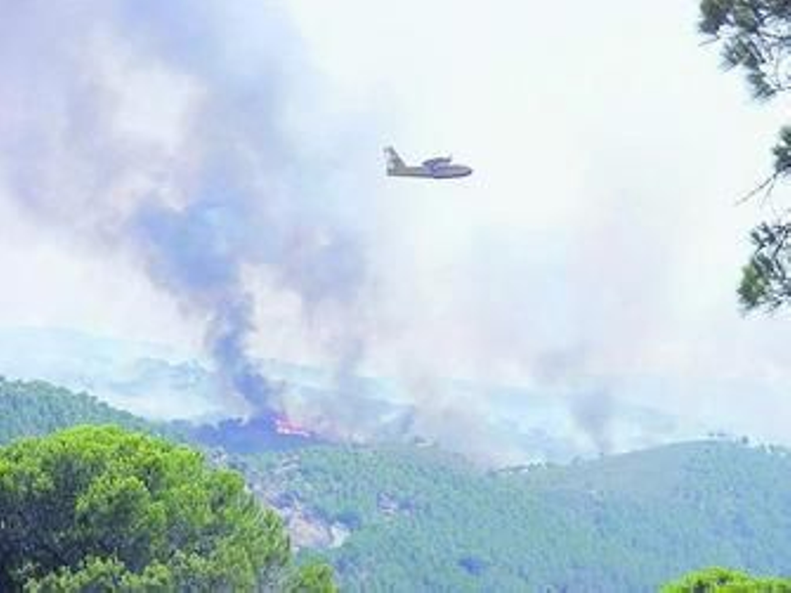 El incendio ha sido la mayor catástrofe medioambiental de España.