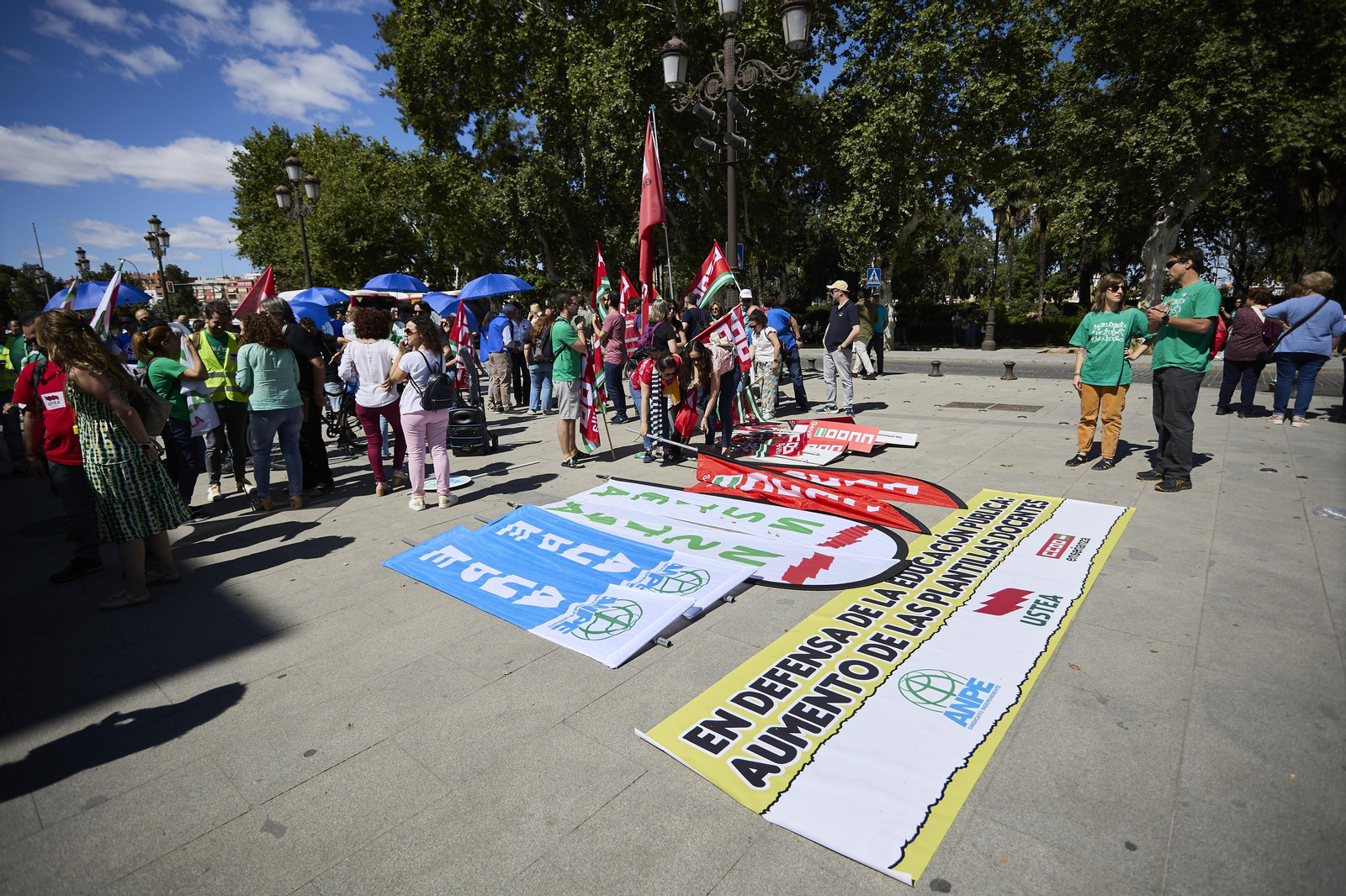 Las imágenes de la manifestación de docentes