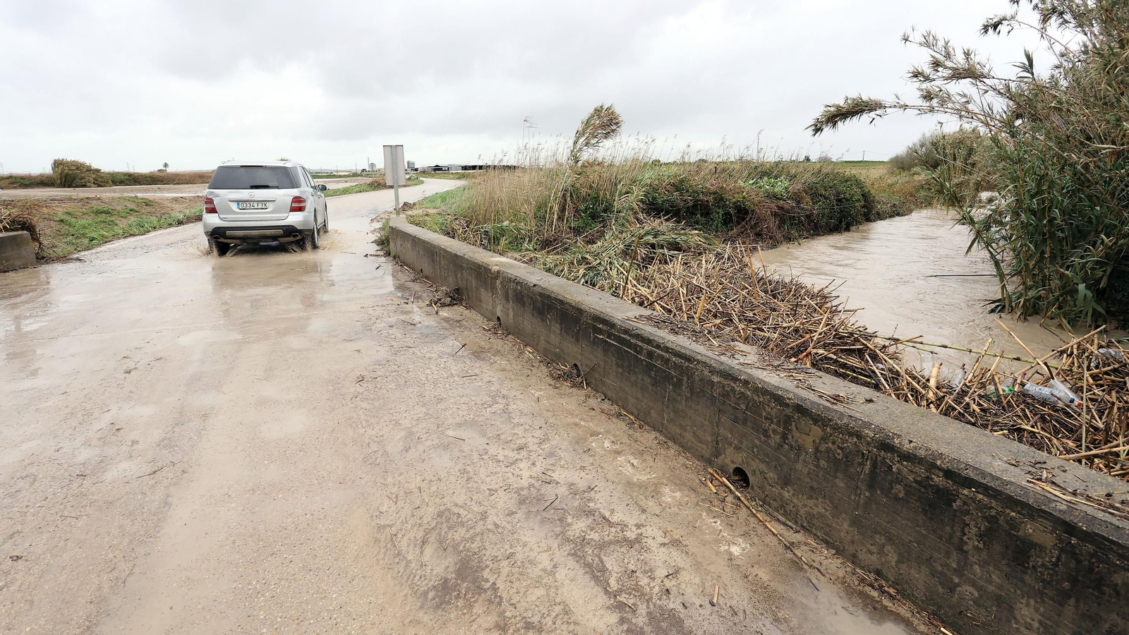Imágenes del temporal de viento y lluvia en Jerez