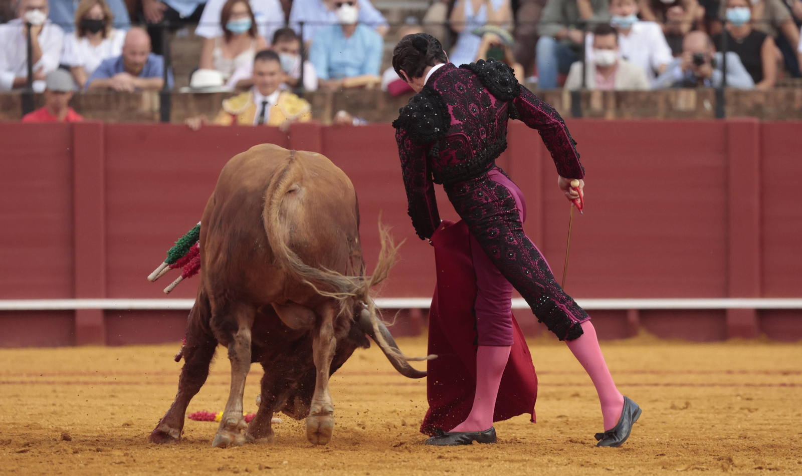 Las imágenes del triunfo de Morante en San Miguel