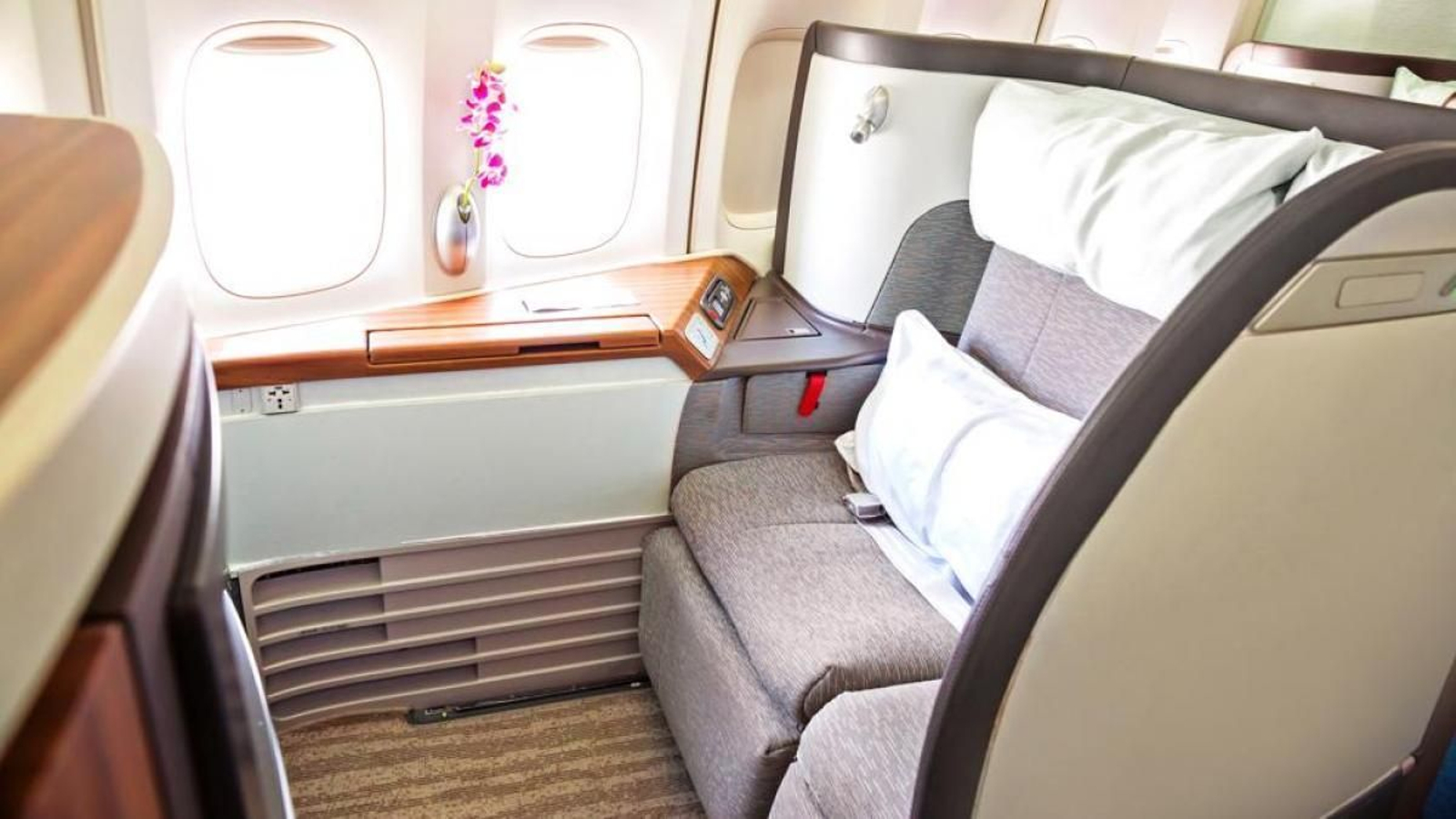 Un perro viaja en primera clase y causa sensación en internet