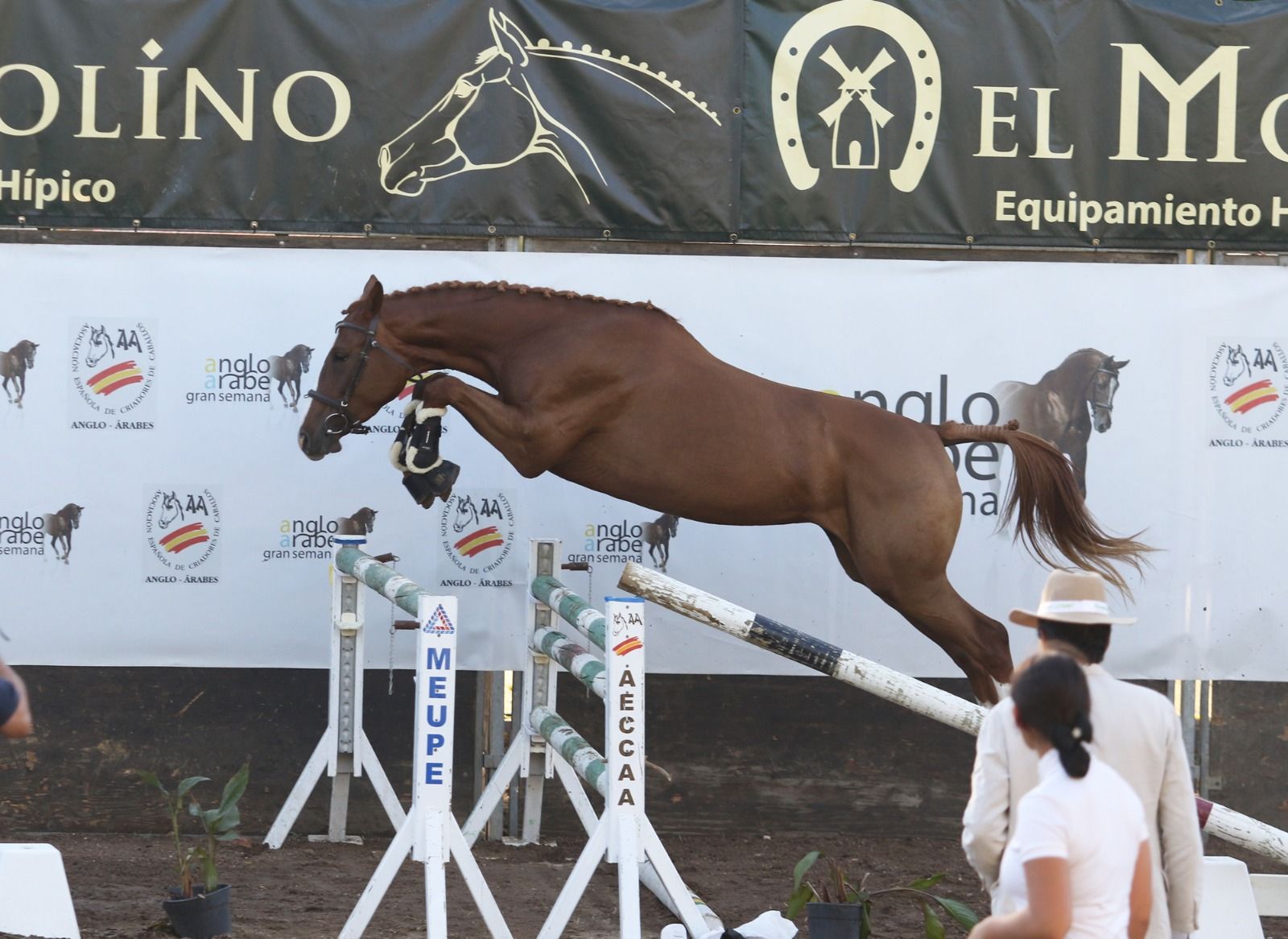 Una imagen de la prueba de salto en libertad.
