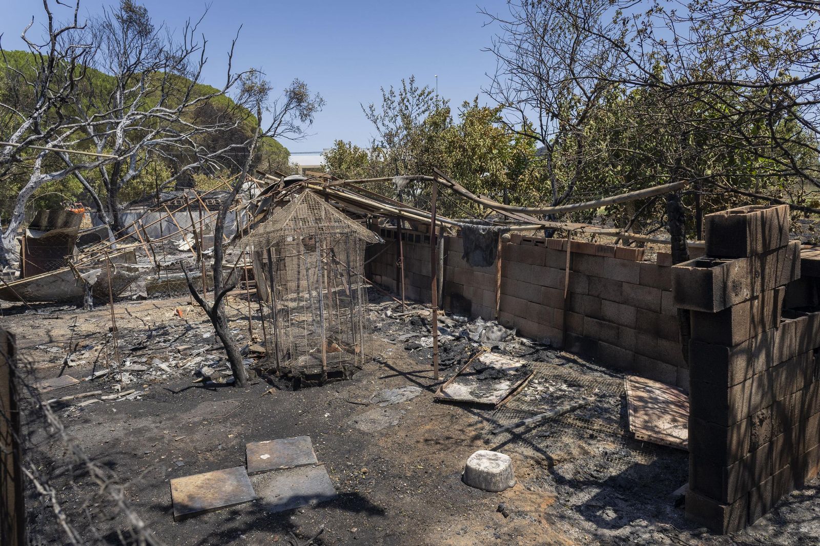 Las imágenes del incendio declarado junto a Roche, en Conil