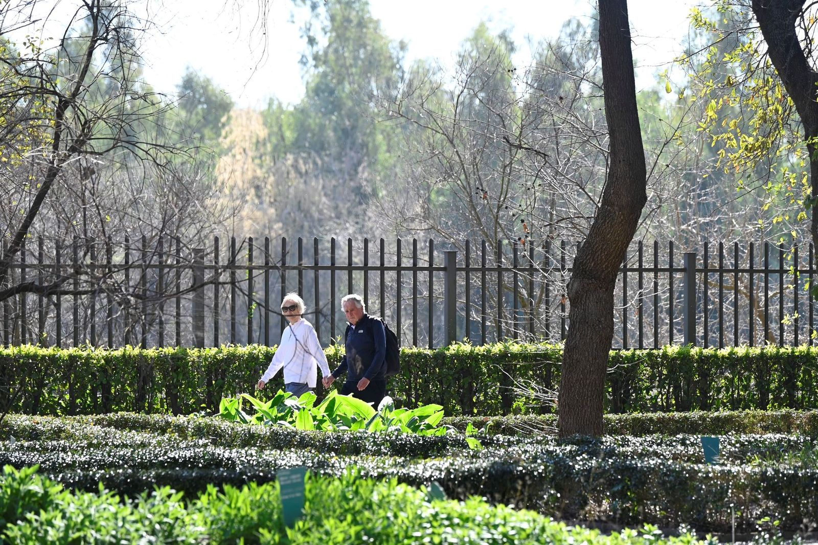El Jardín Botánico de Córdoba reabre sus puertas tras subsanar los daños por el temporal