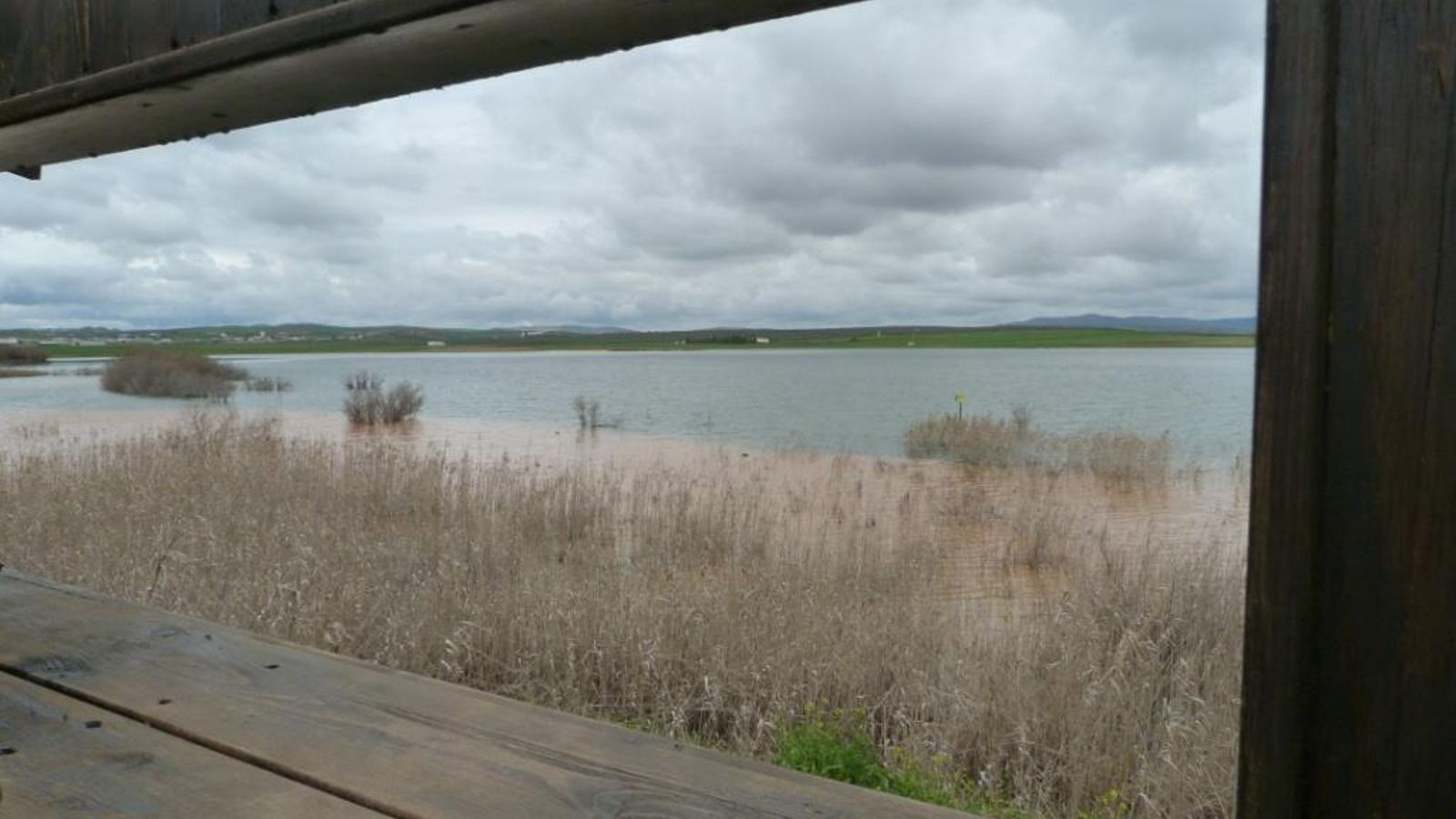 La laguna Dulce de Campillos.