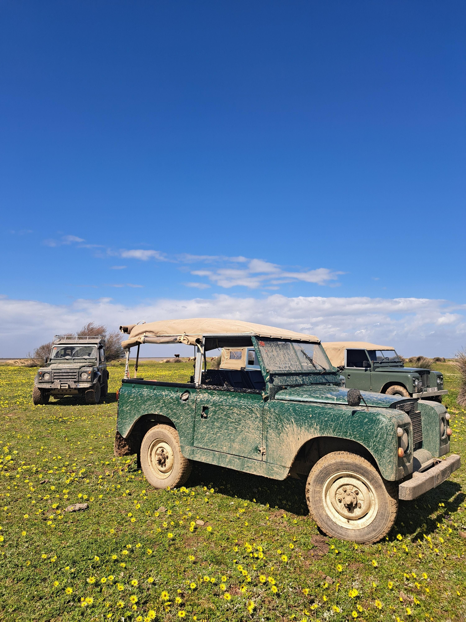 Algunos de los vehículos clásicos que participarán en el encuentro.