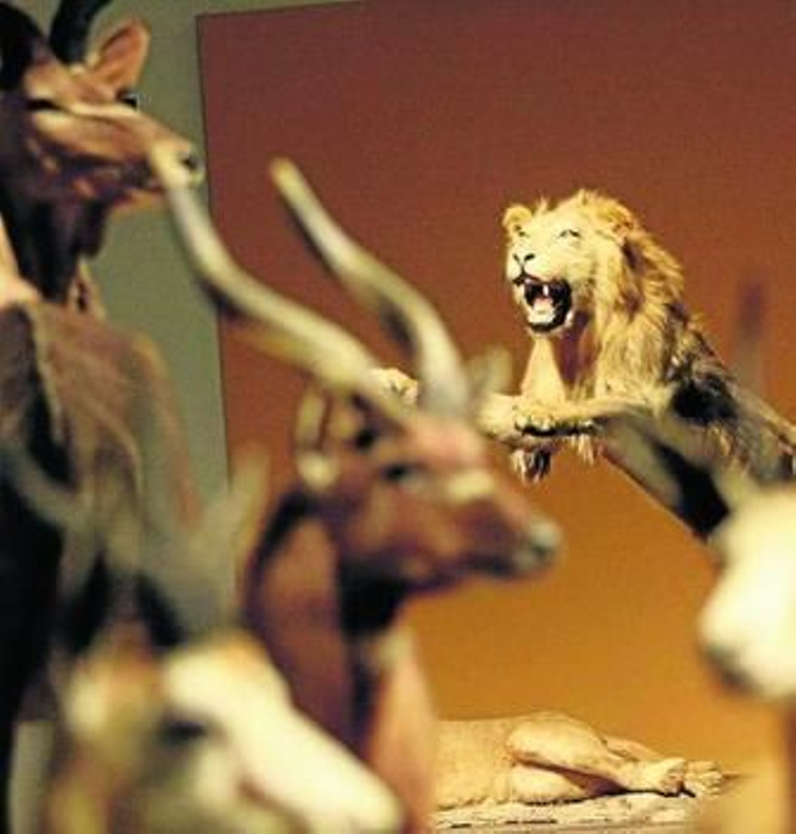 Algunas de las nuevas piezas de la muestra.