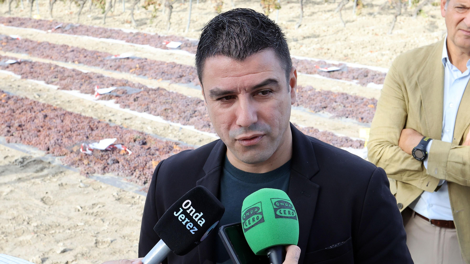 Vinos ecológicos con uva Pedro Ximénez