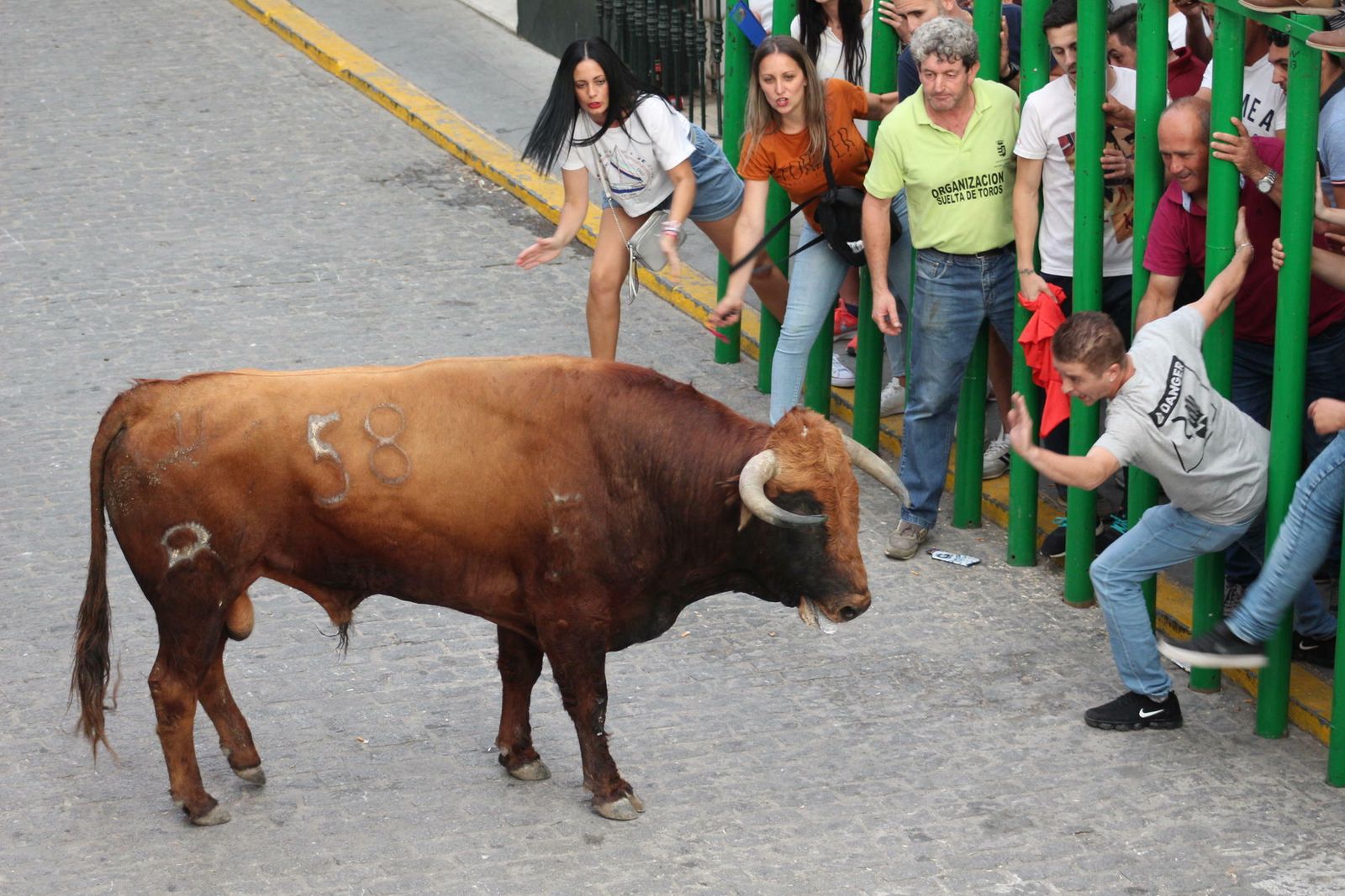 Las mejores imágenes de los encierros y la feria de Paterna