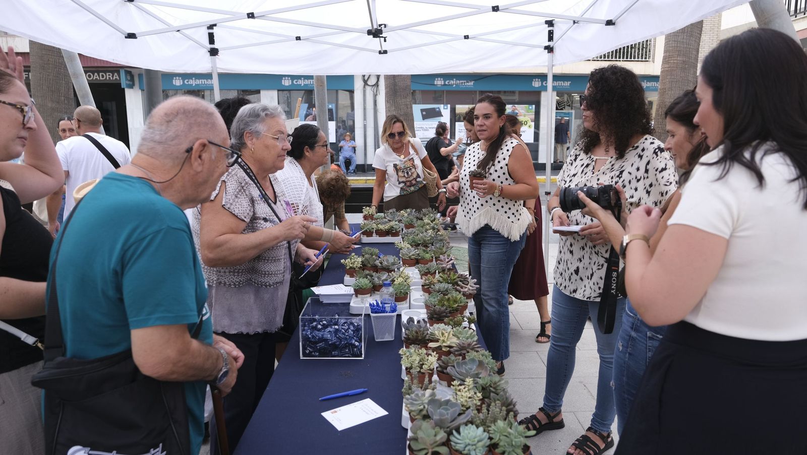 El Día de las Personas de Edad en Adra, organizado por el Ayuntamiento y Clece, en imágenes