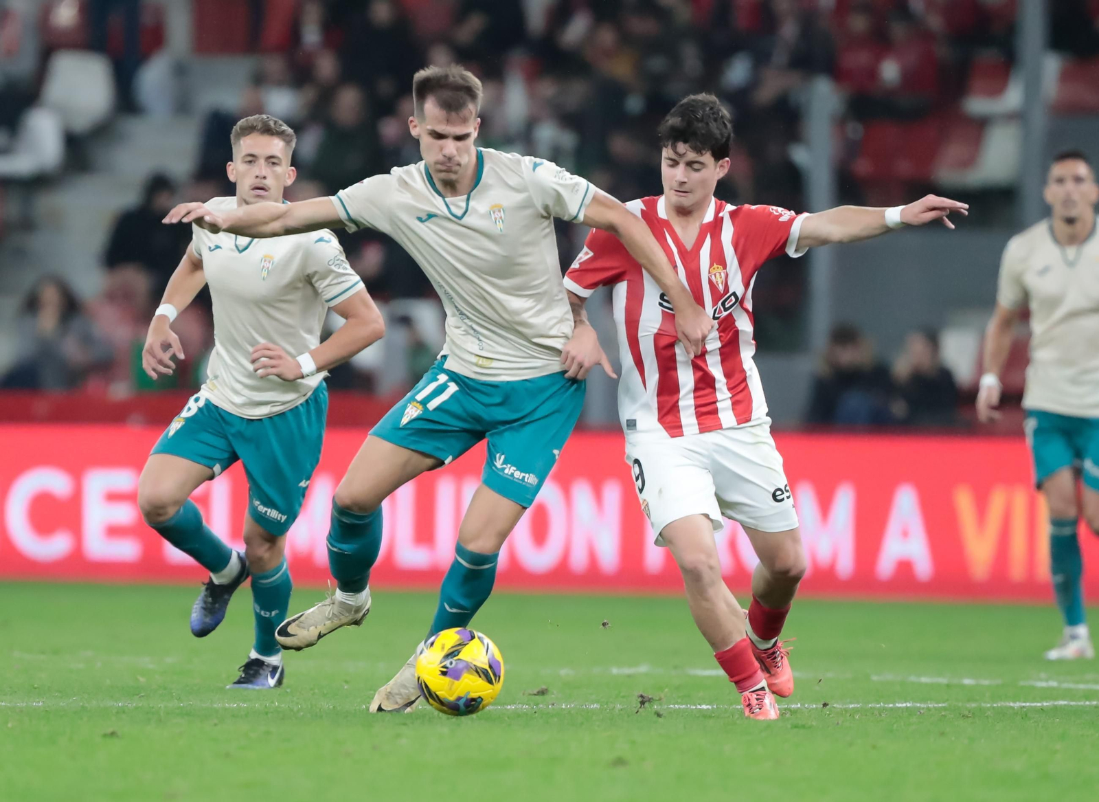 Las mejores fotos del Sporting de Gijón - Córdoba CF en El Molinón