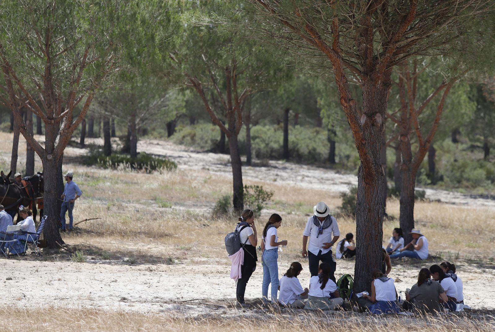 Todos los peregrinos de la Hermandad de Huelva, en imágenes