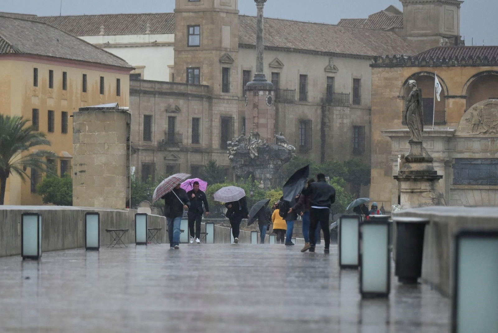 El paso de la borrasca Claudia por Córdoba en imágenes