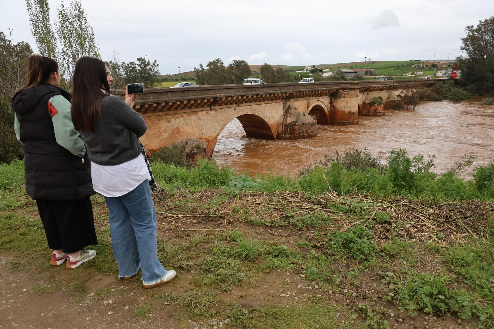 Imágenes del río Tinto a su paso por Niebla tras la borrasca Laurence
