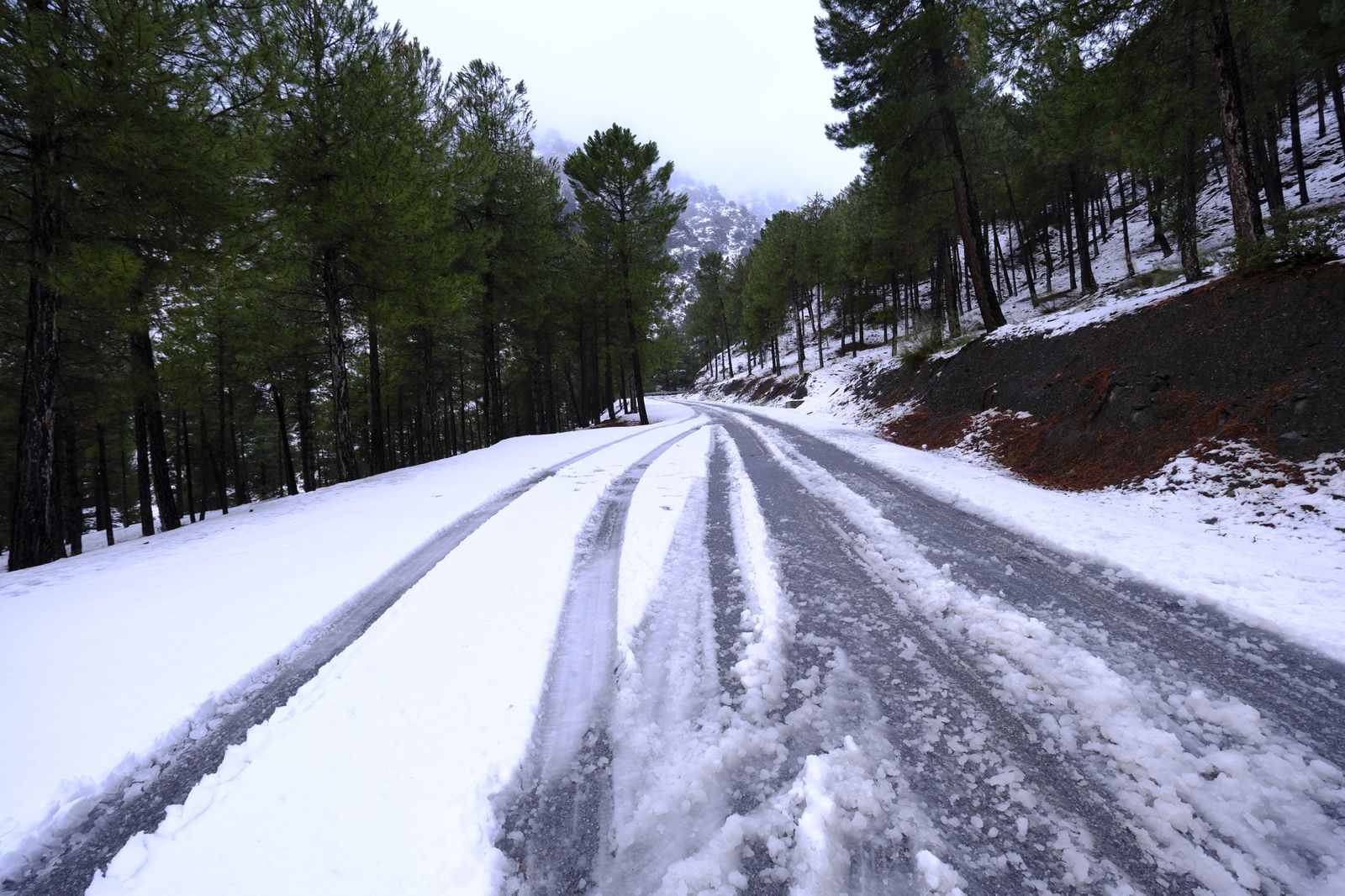 Fotogalería nevada en la Provincia de Almería