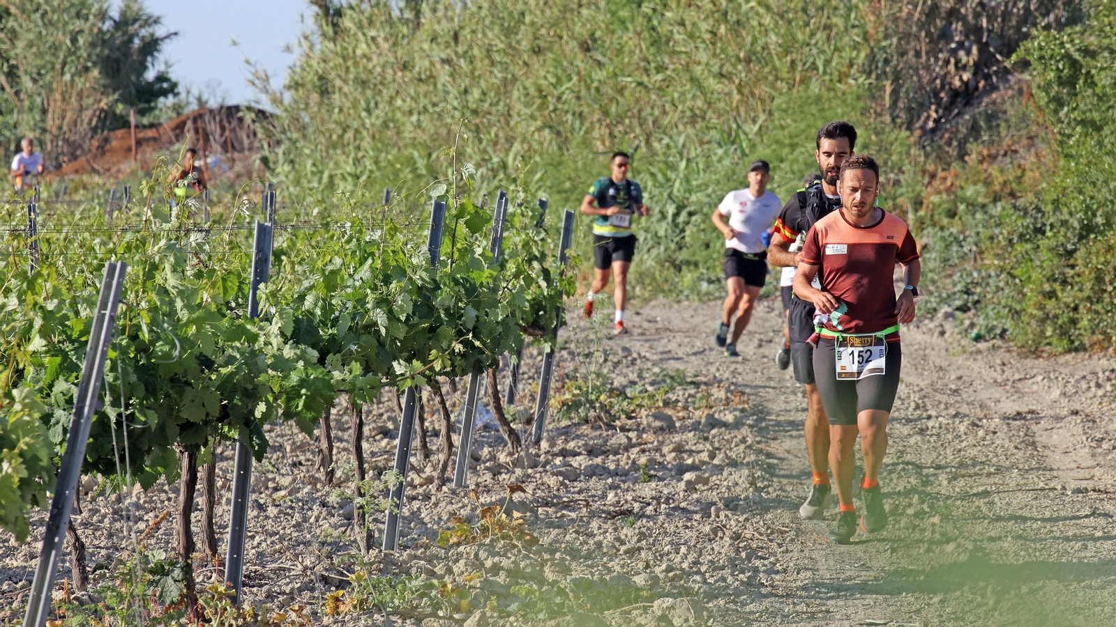 VI Sherry Maratón Jerez