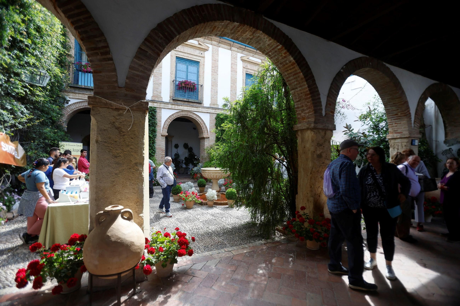 Los Patios del Palacio de Viana, en imágenes