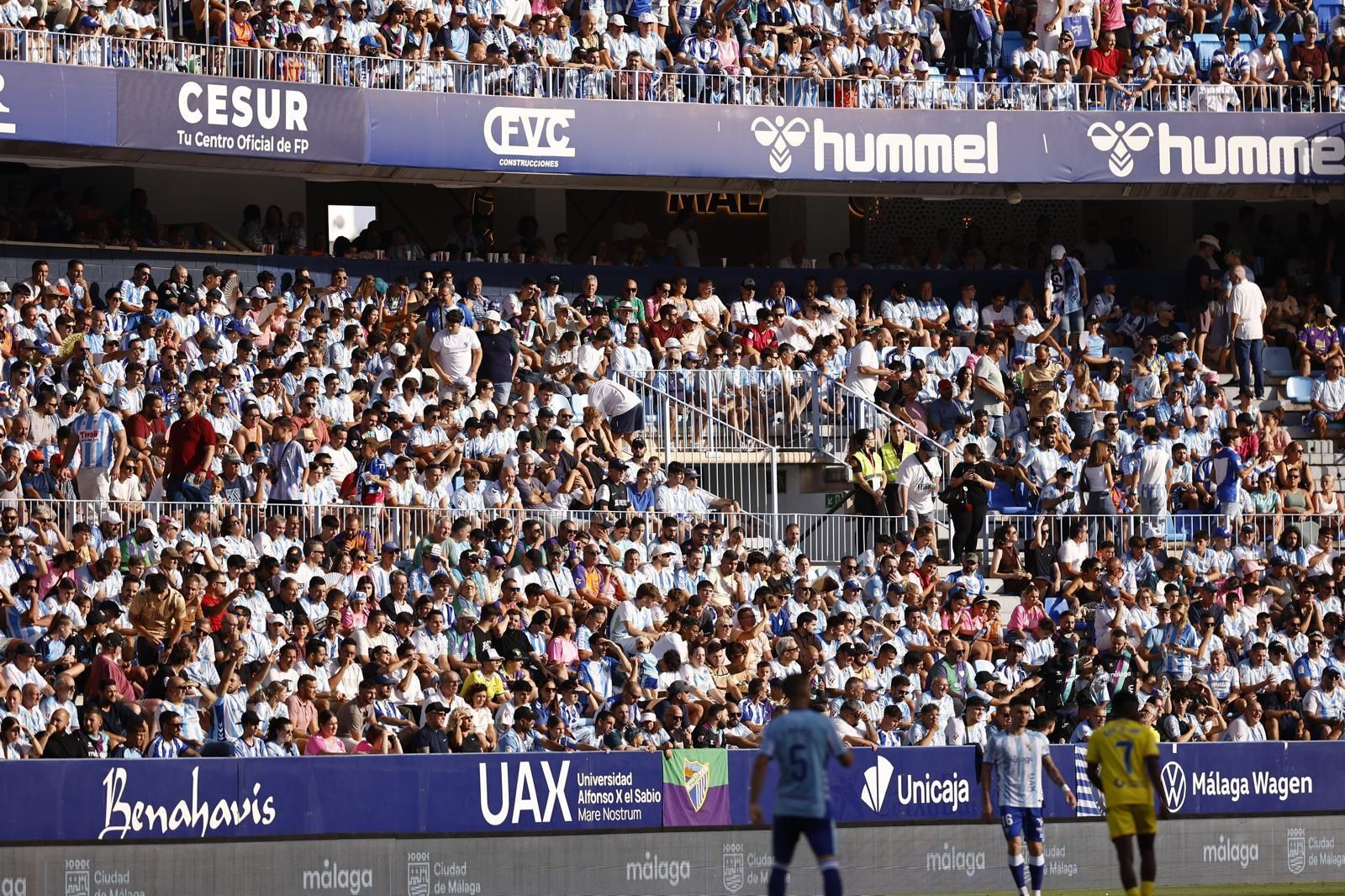 Búscate en las gradas de La Rosaleda durante el Málaga CF-Cádiz