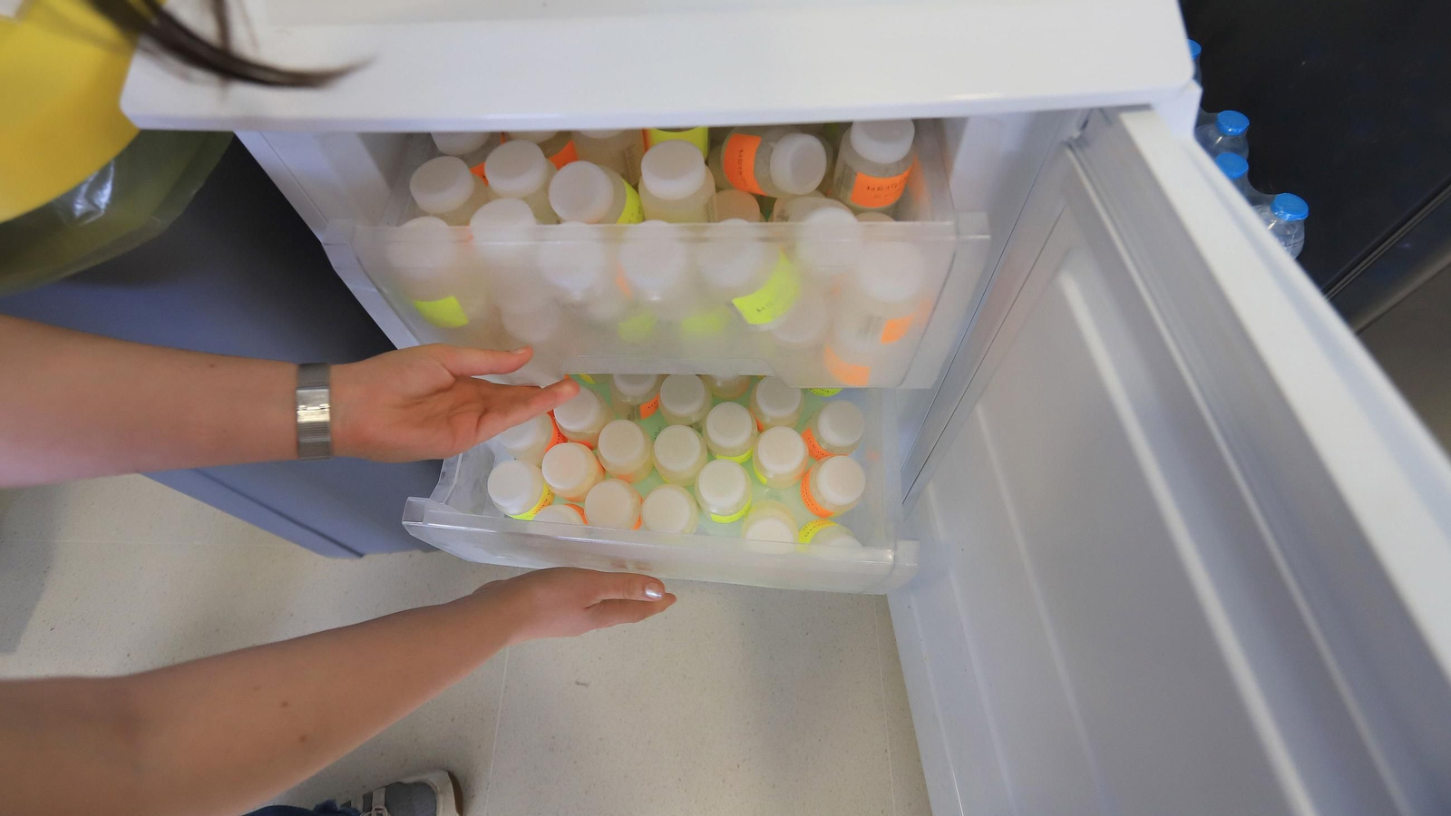 Leche ya preparada para conservar y analizar, en una de las neveras del Hospital de Jerez, tras la recogida de muestras en enero..