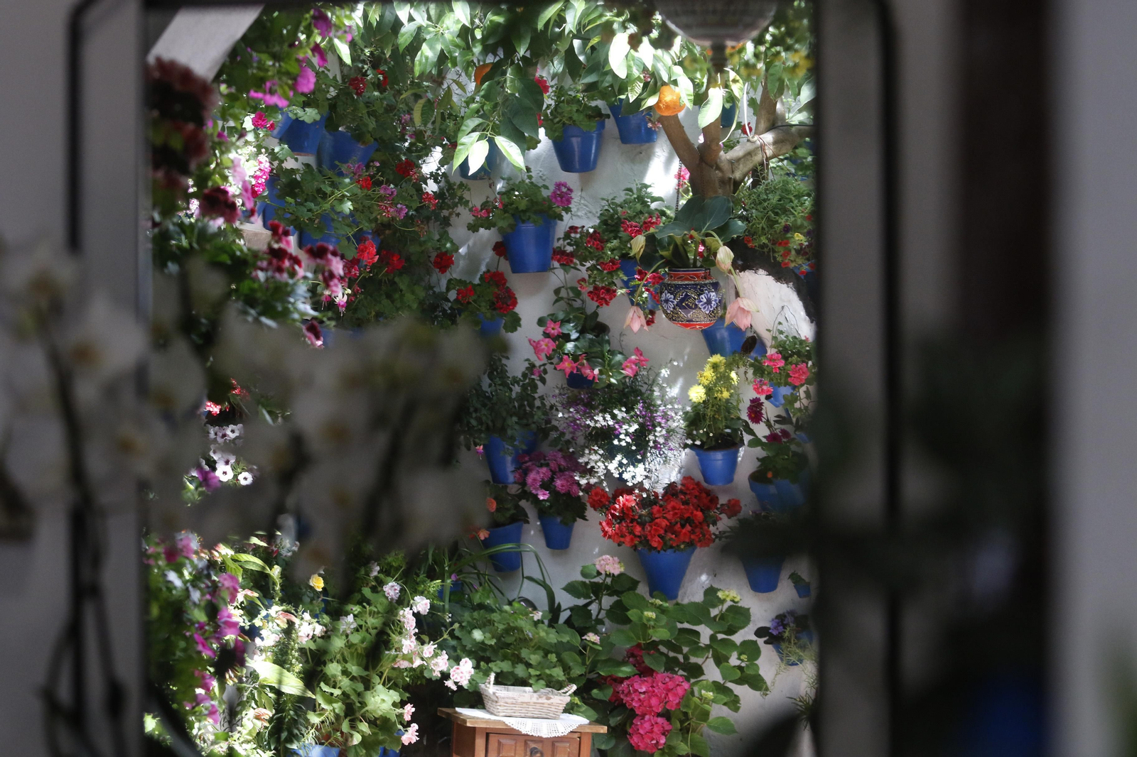 Ruta Santiago - San Pedro de los Patios de Córdoba, en imágenes