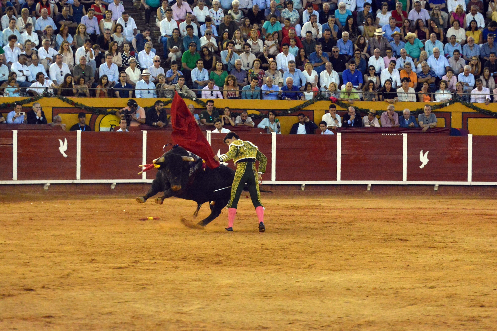 Una corrida de toros, en la plaza de toros de Algeciras.