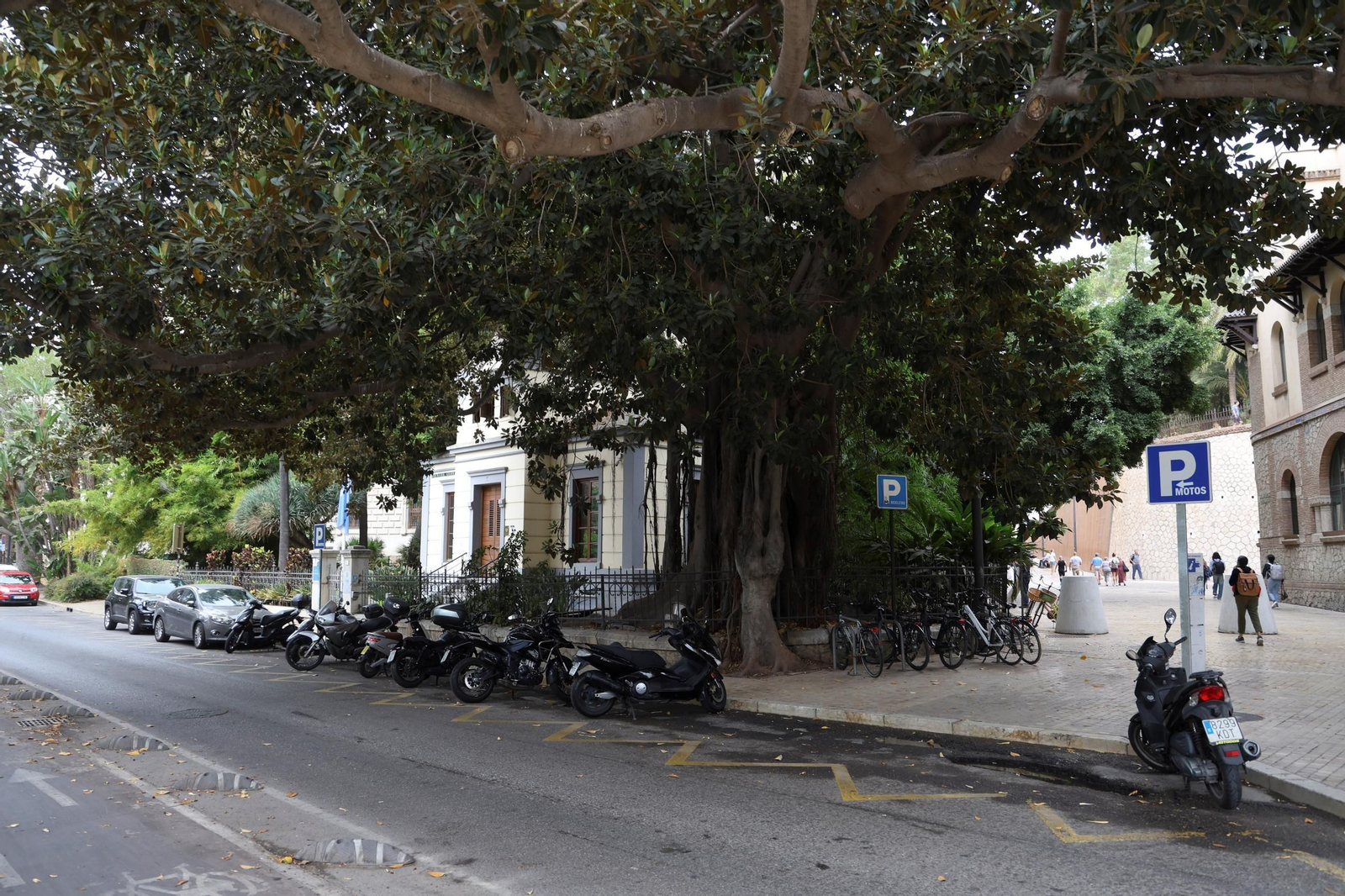 Una imagen de la parada de los coches de caballo vacía este lunes.