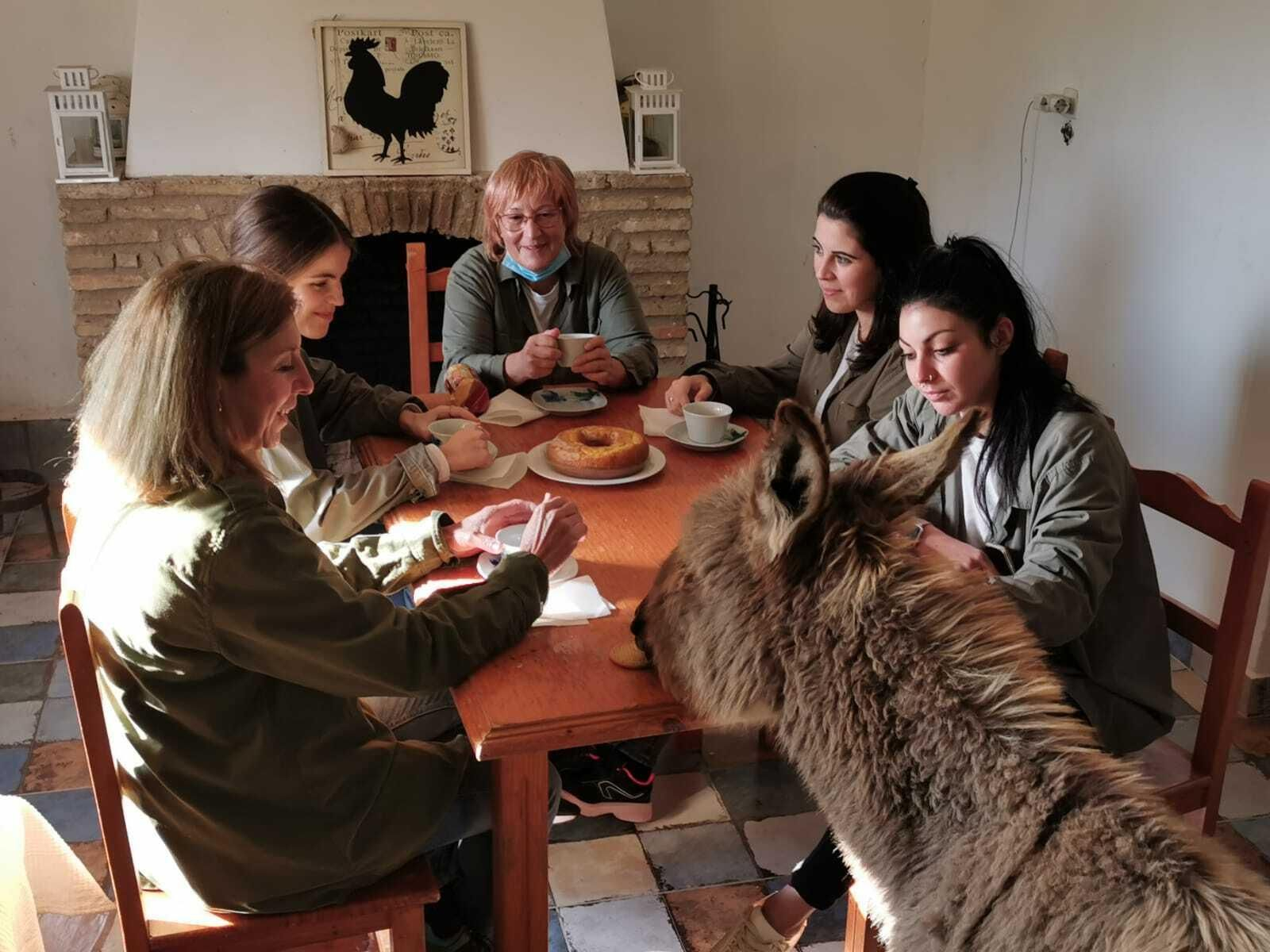 Pon un burrito en tu vida: un planazo en Huelva para disfrutar en familia