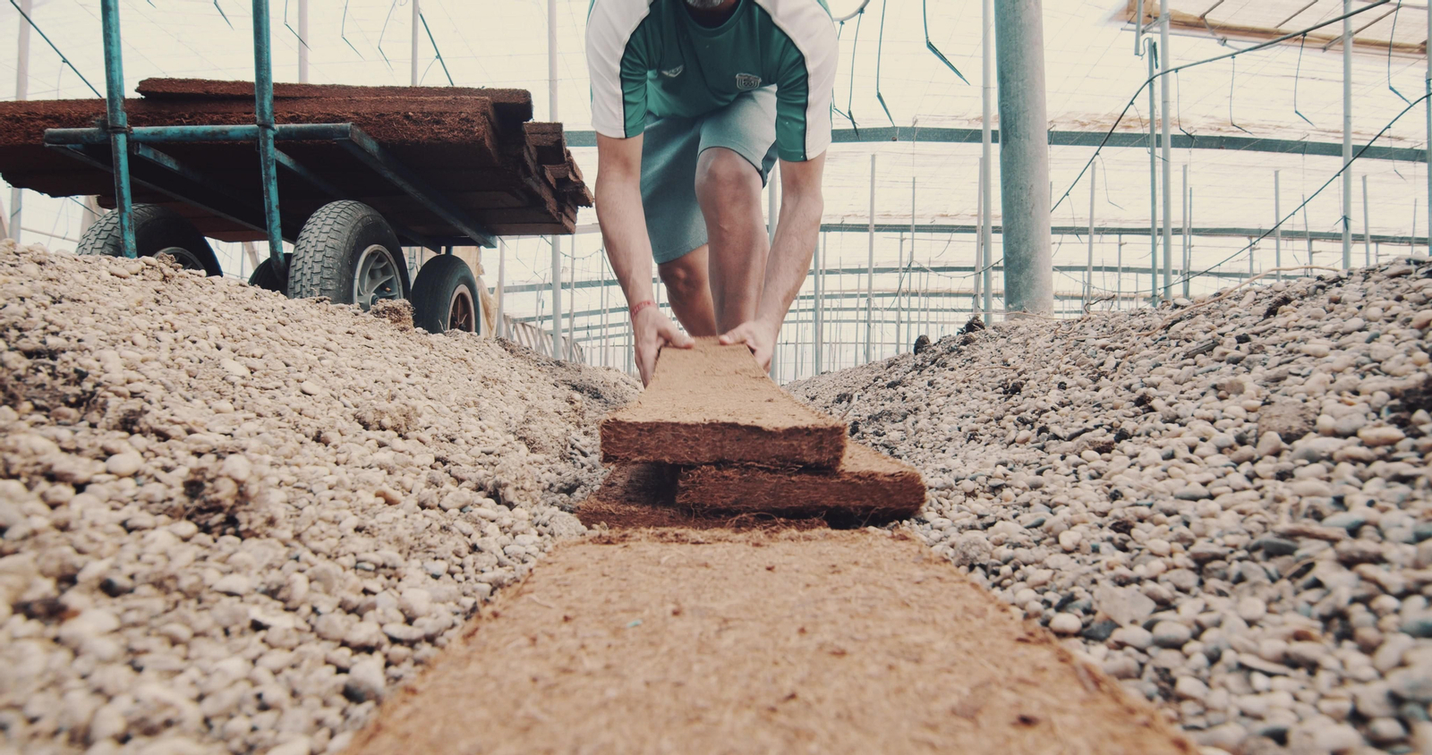 Enficonado en suelo.