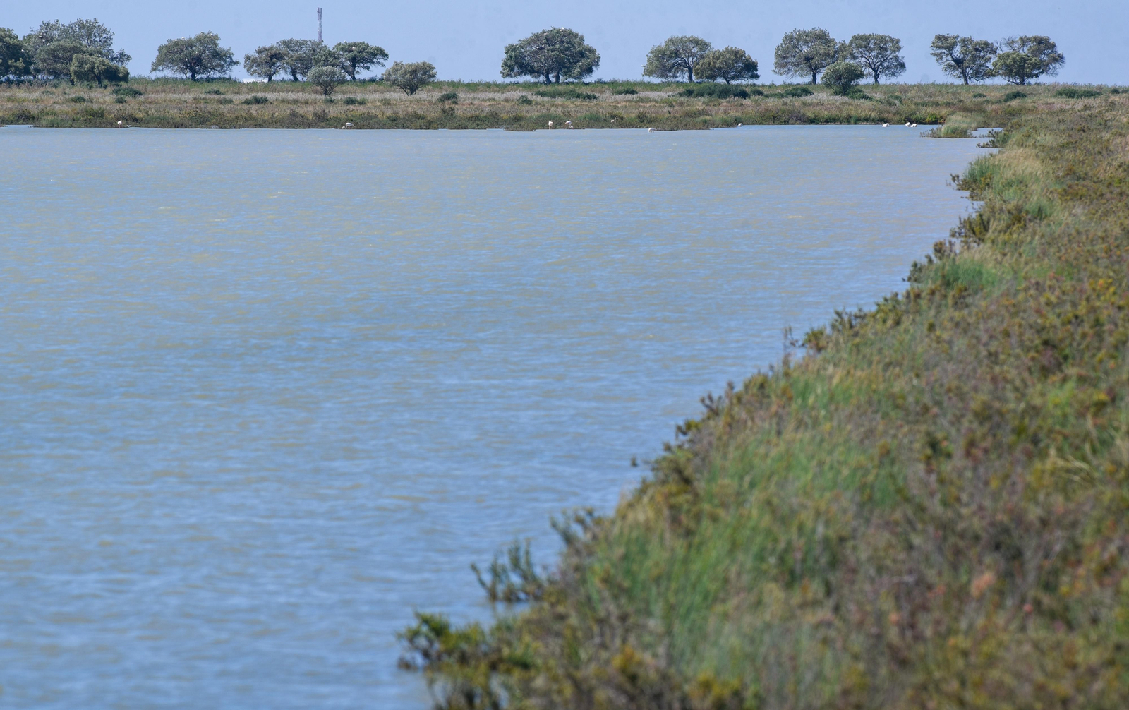 Imágenes de la finca Veta la Palma