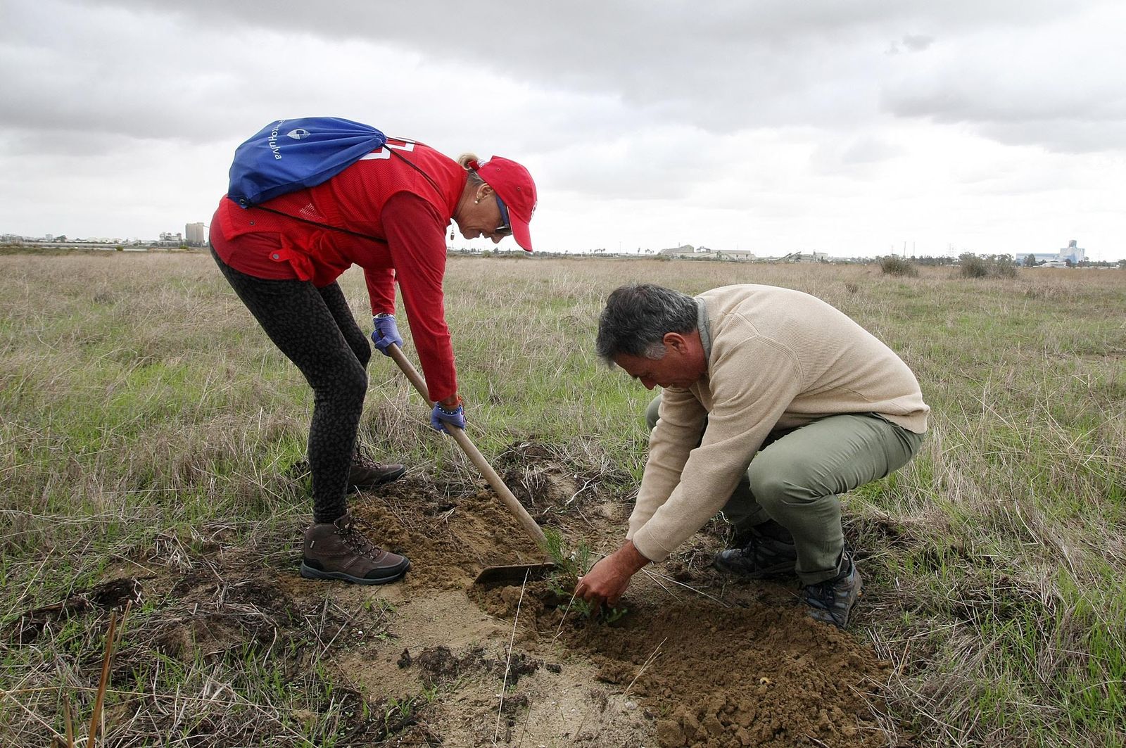 Imágenes de la plantación de árboles en los Llanos de Bacuta, en el Paraje Natural Marismas del Odiel, Huelva