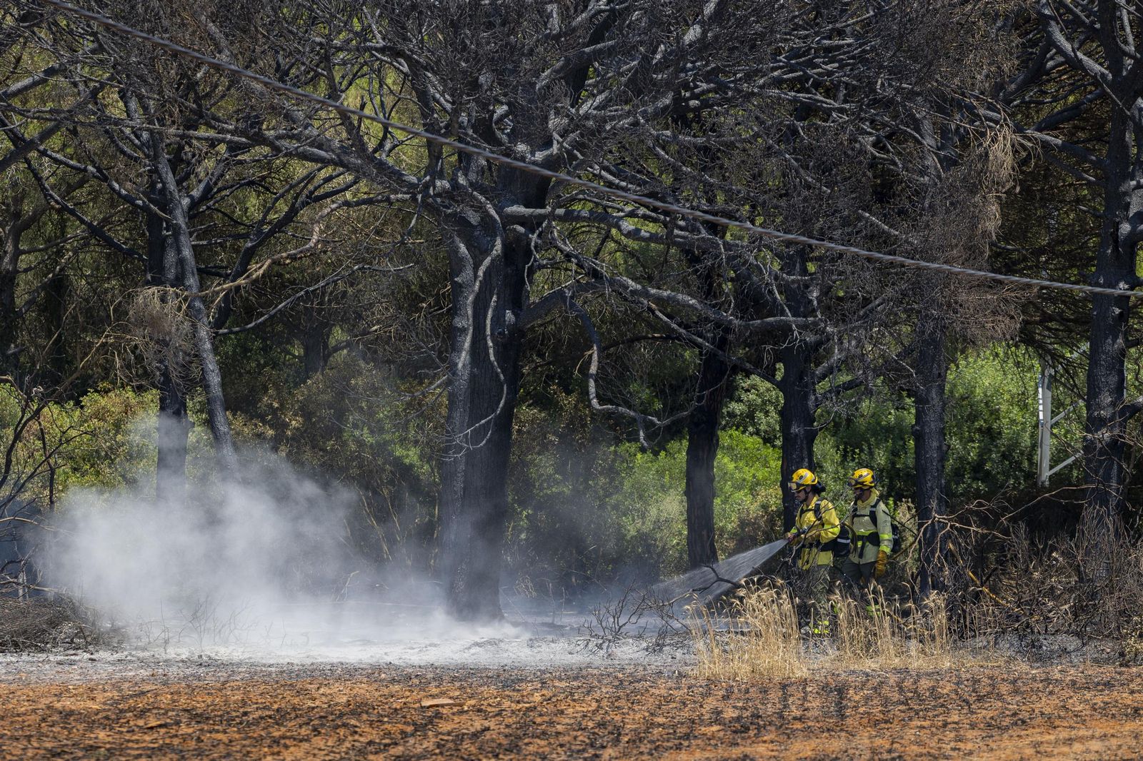 Las imágenes del incendio declarado junto a Roche, en Conil