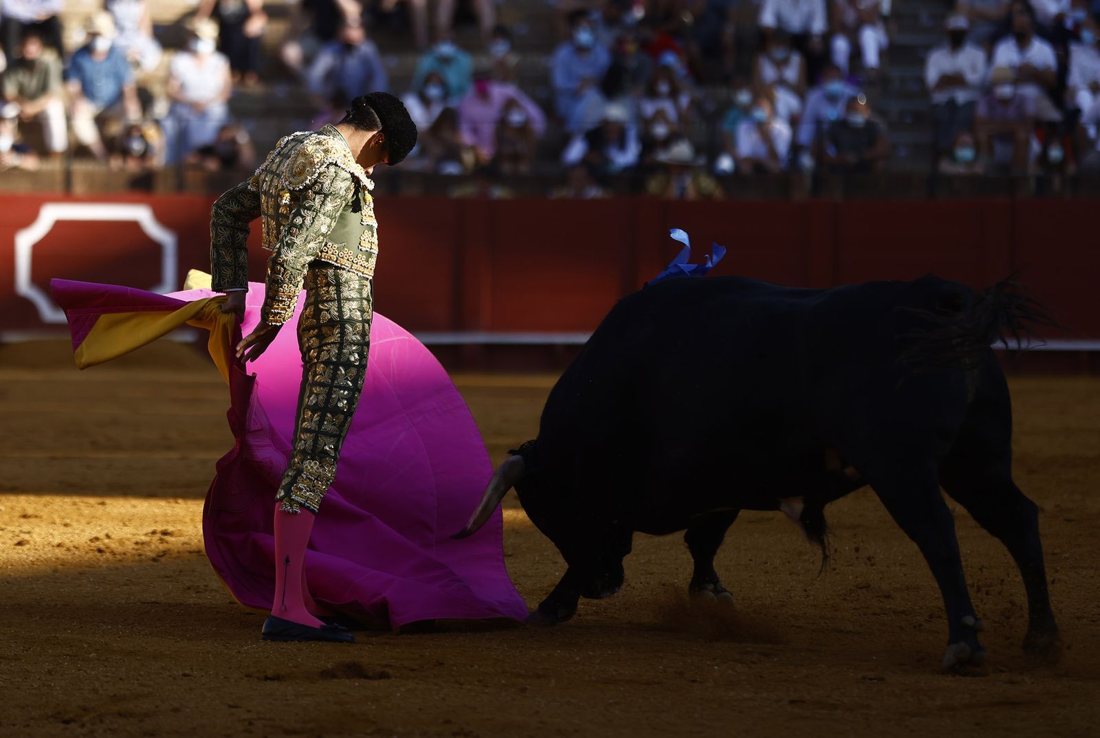 Fotos de la segunda novillada de la feria de San Miguel de Sevilla
