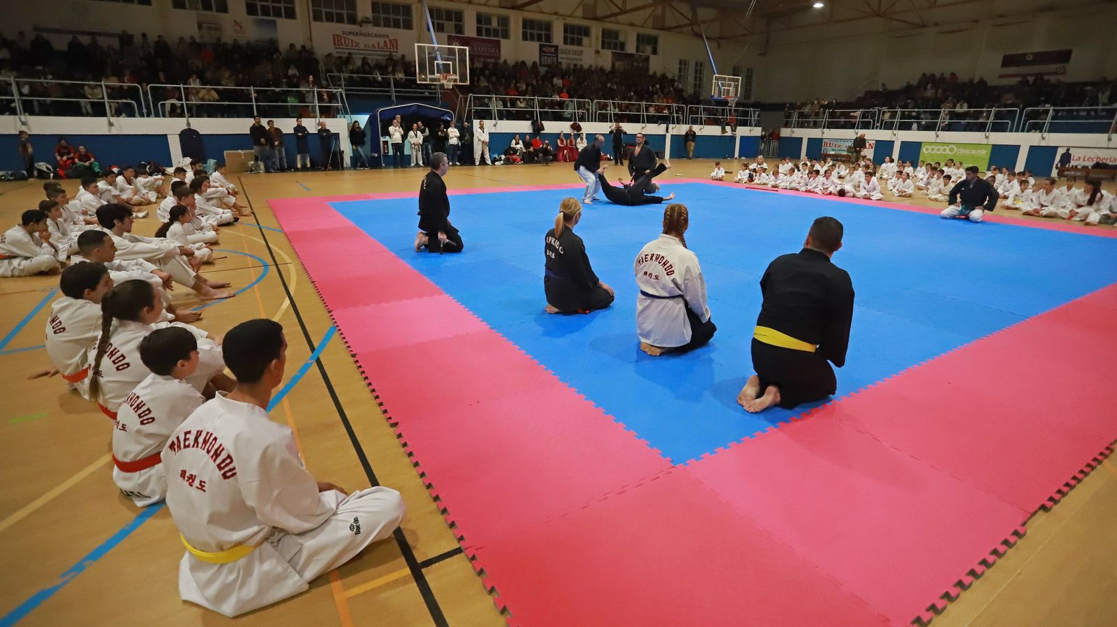 Las mejores fotos de la exhibición de Seul Gym en La Línea