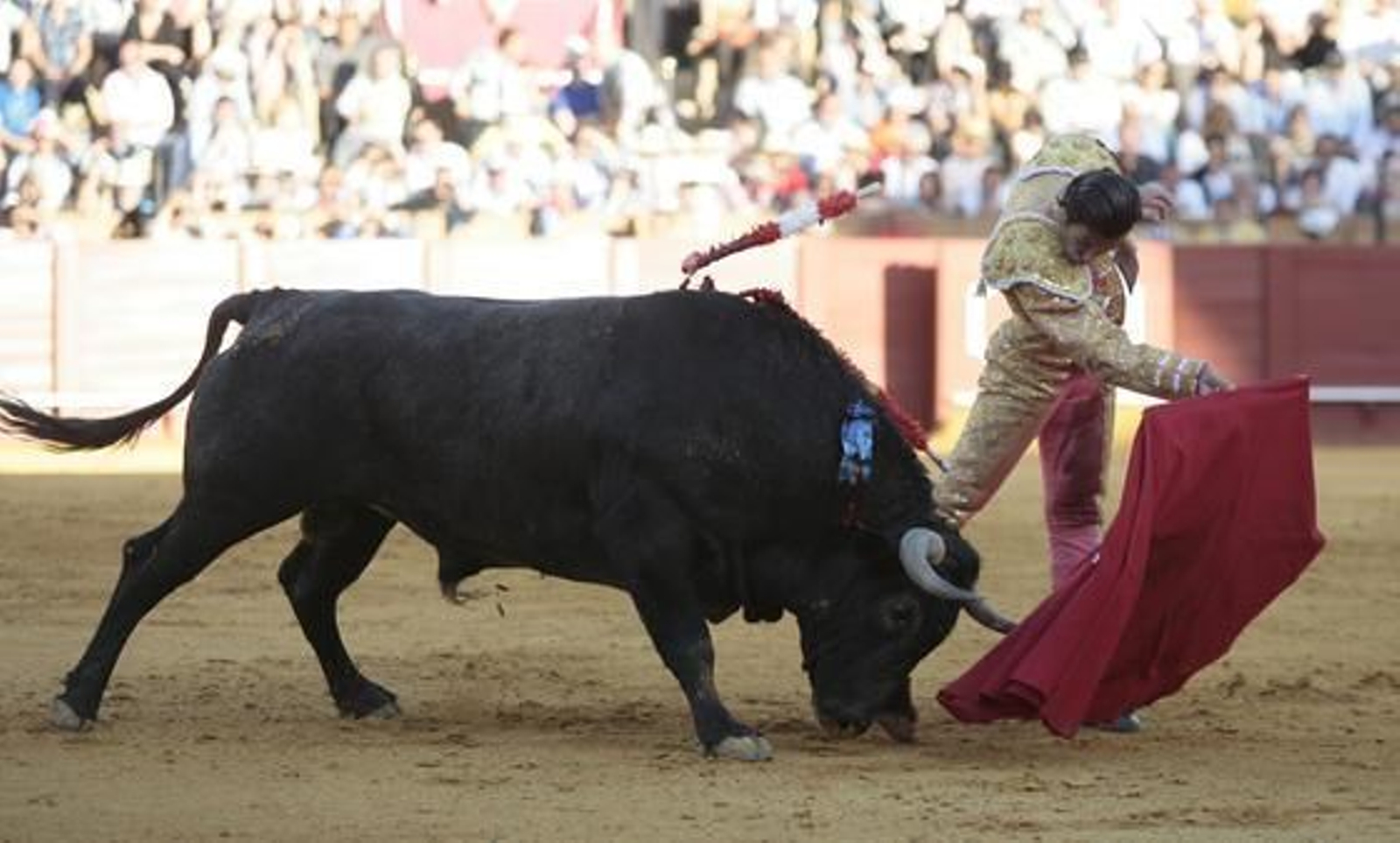 Foto: Juan Carlos Muñoz