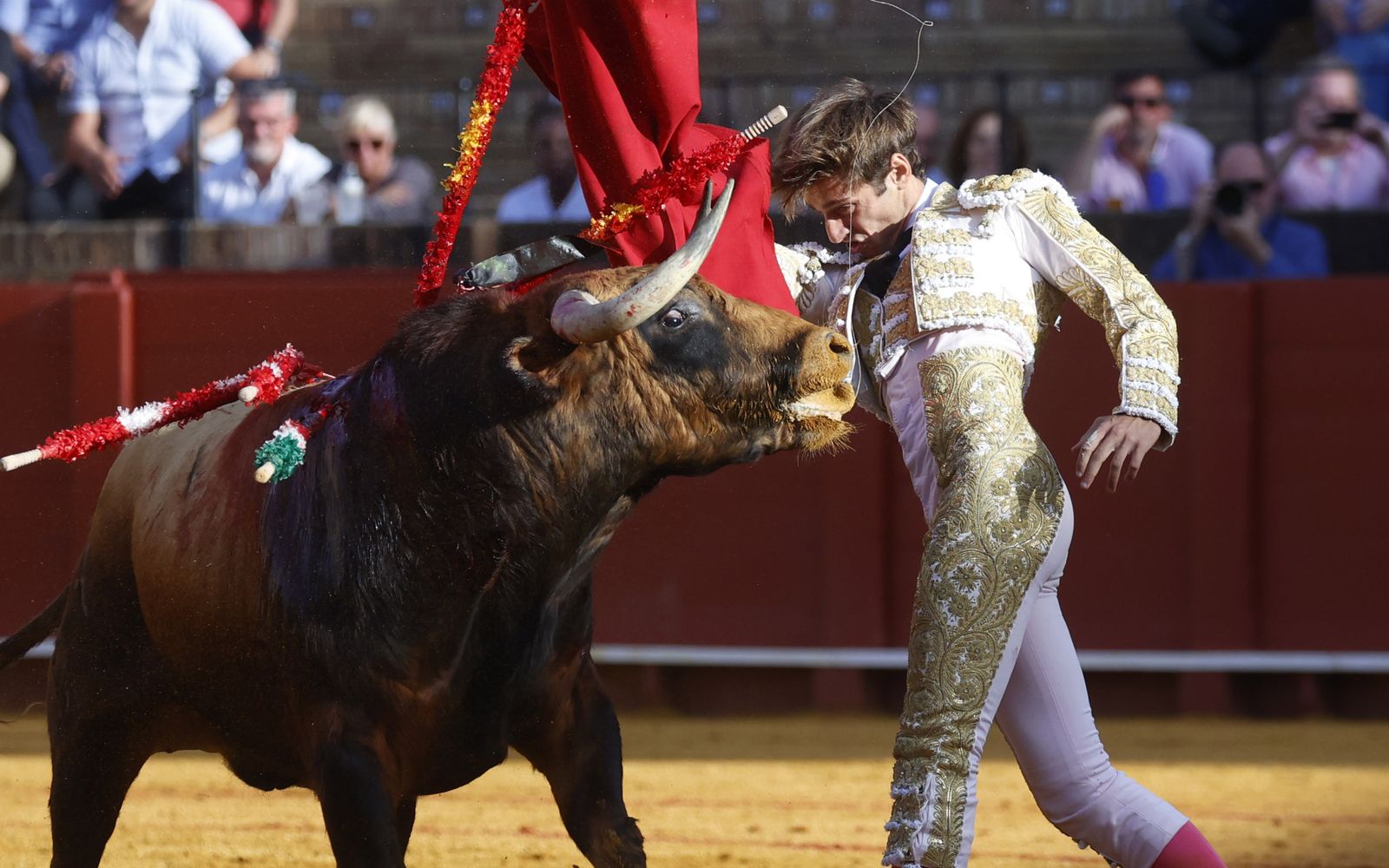 Las imágenes de la novillada en la Maestranza