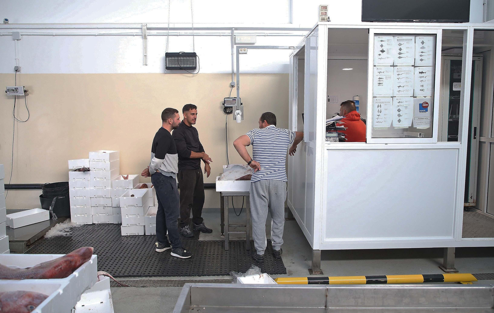 El puerto pesquero de La Línea, en imágenes